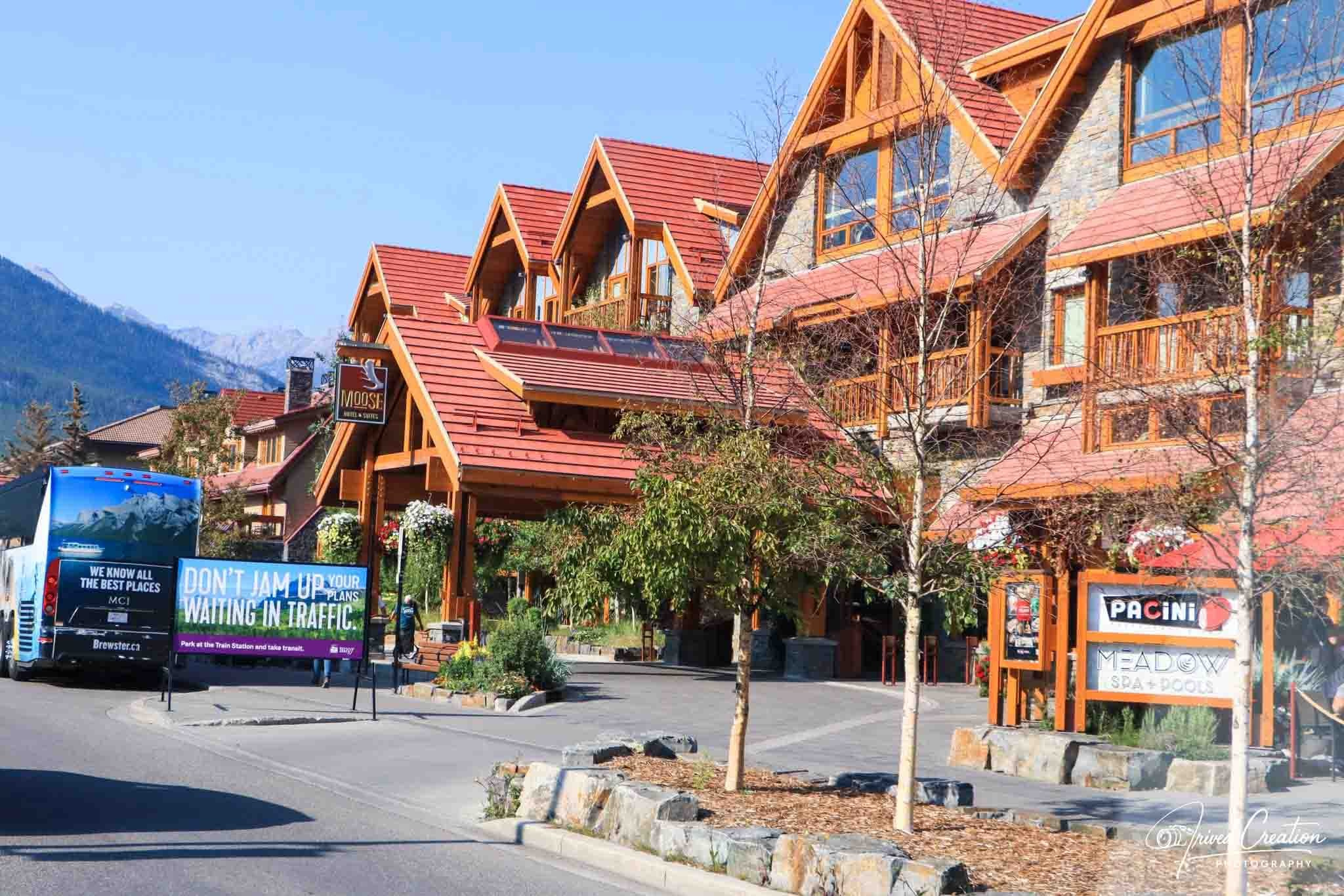 Landscape & Nature. Prived Creation