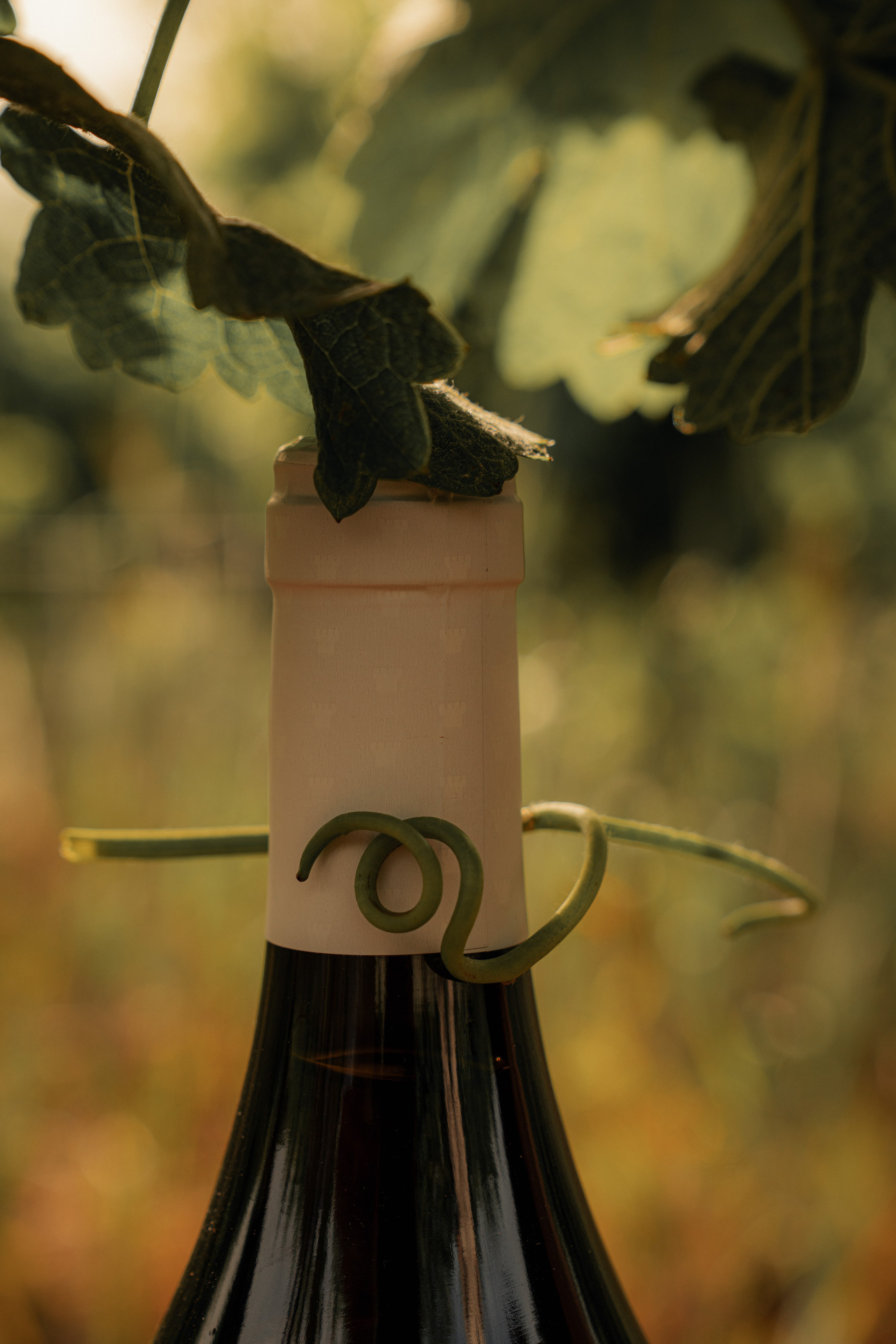 Estates Costa Lazaridi