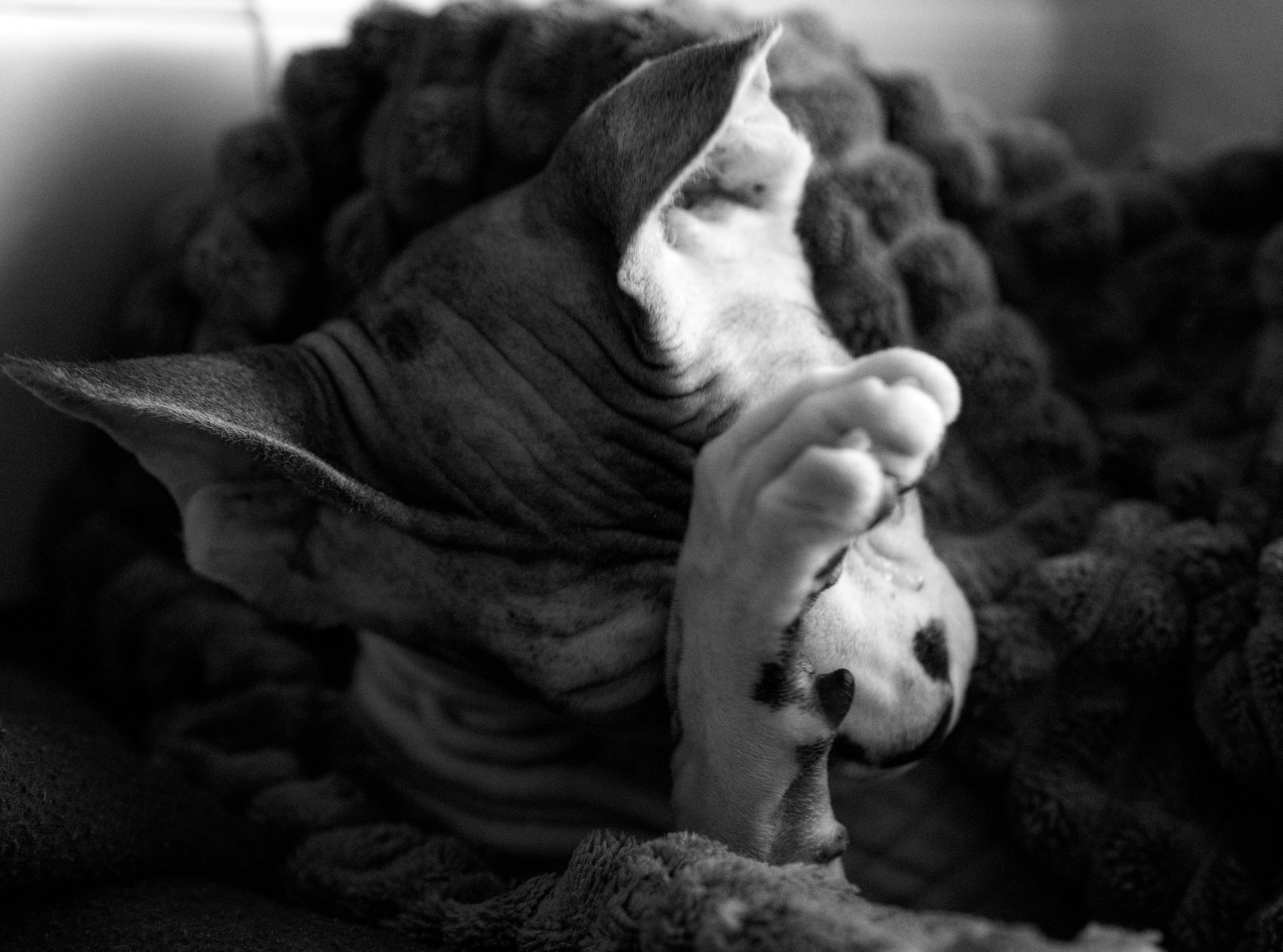 ЯХТЫ. LUKIN IGOR Photography