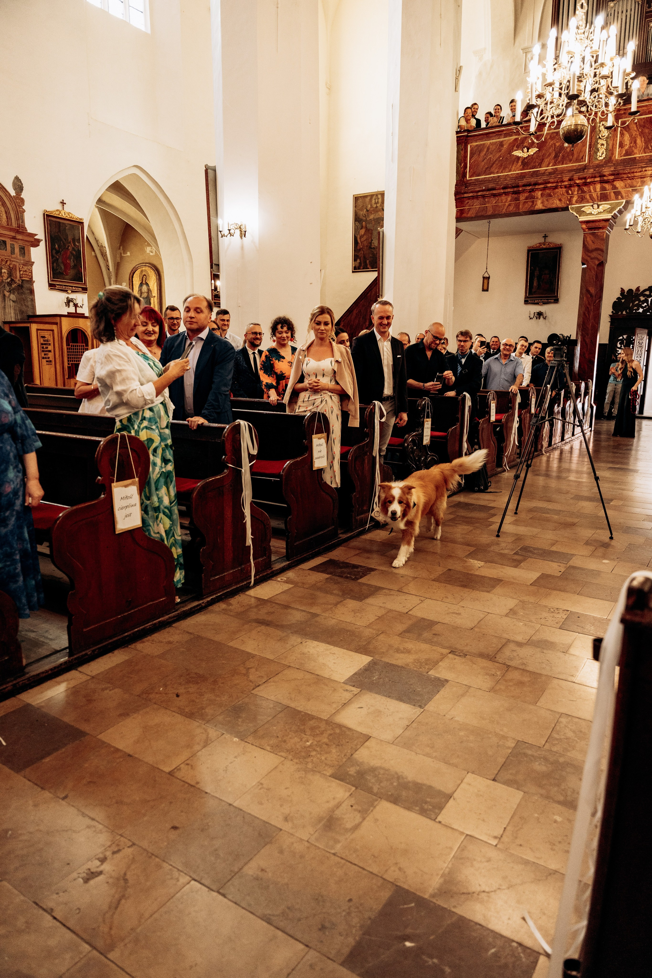 D&P. SL Wedding Photo: ponadczasowa fotografia ślubna | Wrocław & Europa