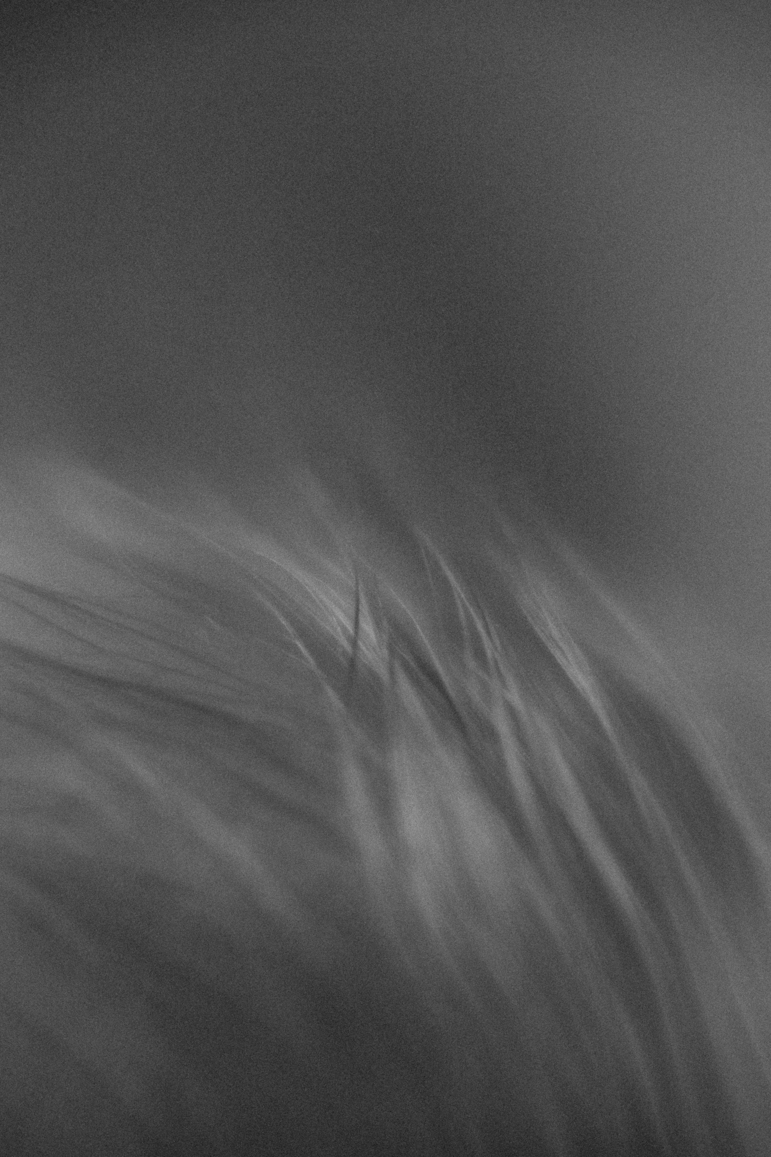 Baby Boy. Фотограф Ирина Йотова