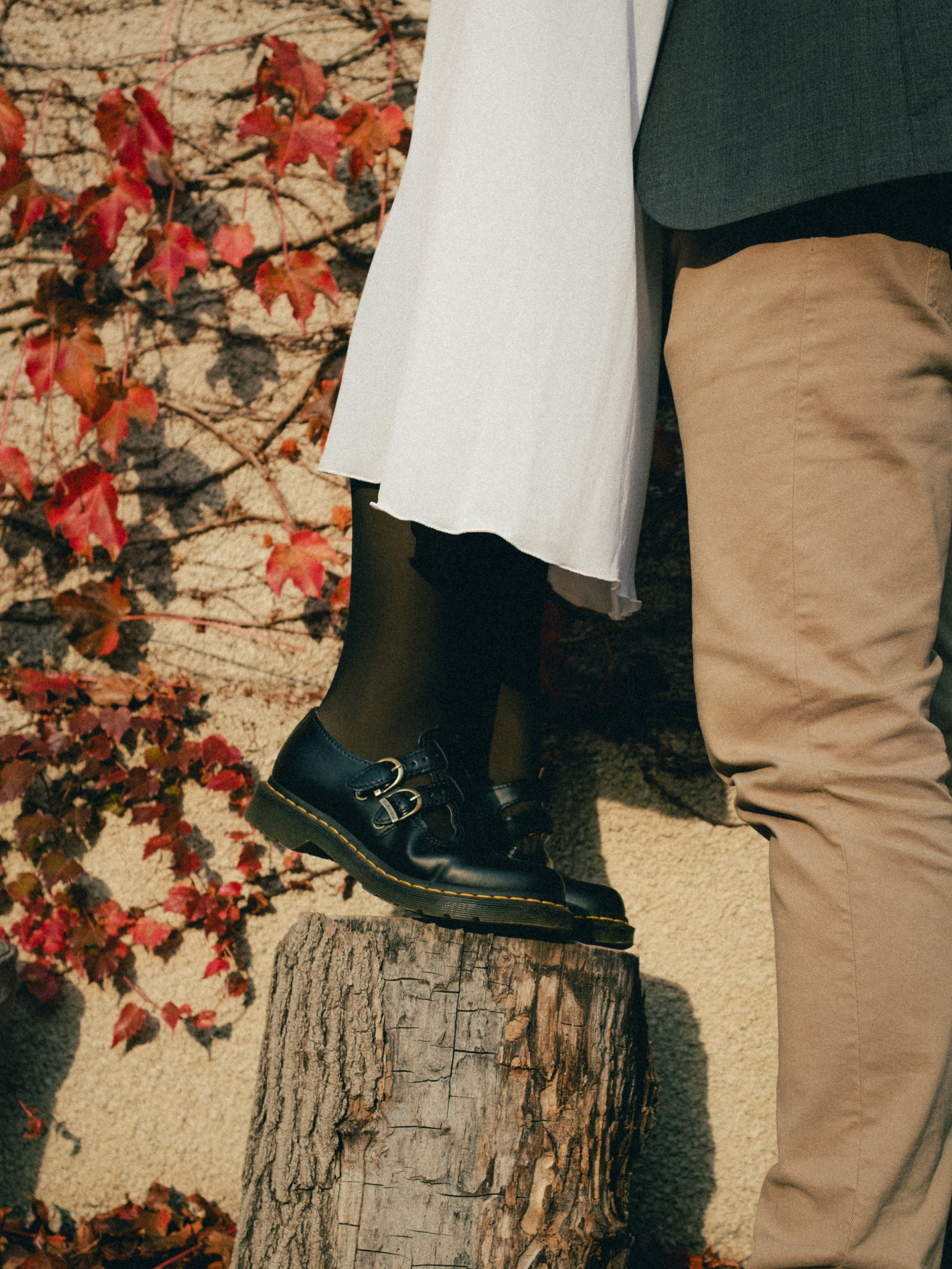 Botanical garden | Alessandro & Johanna. Главная