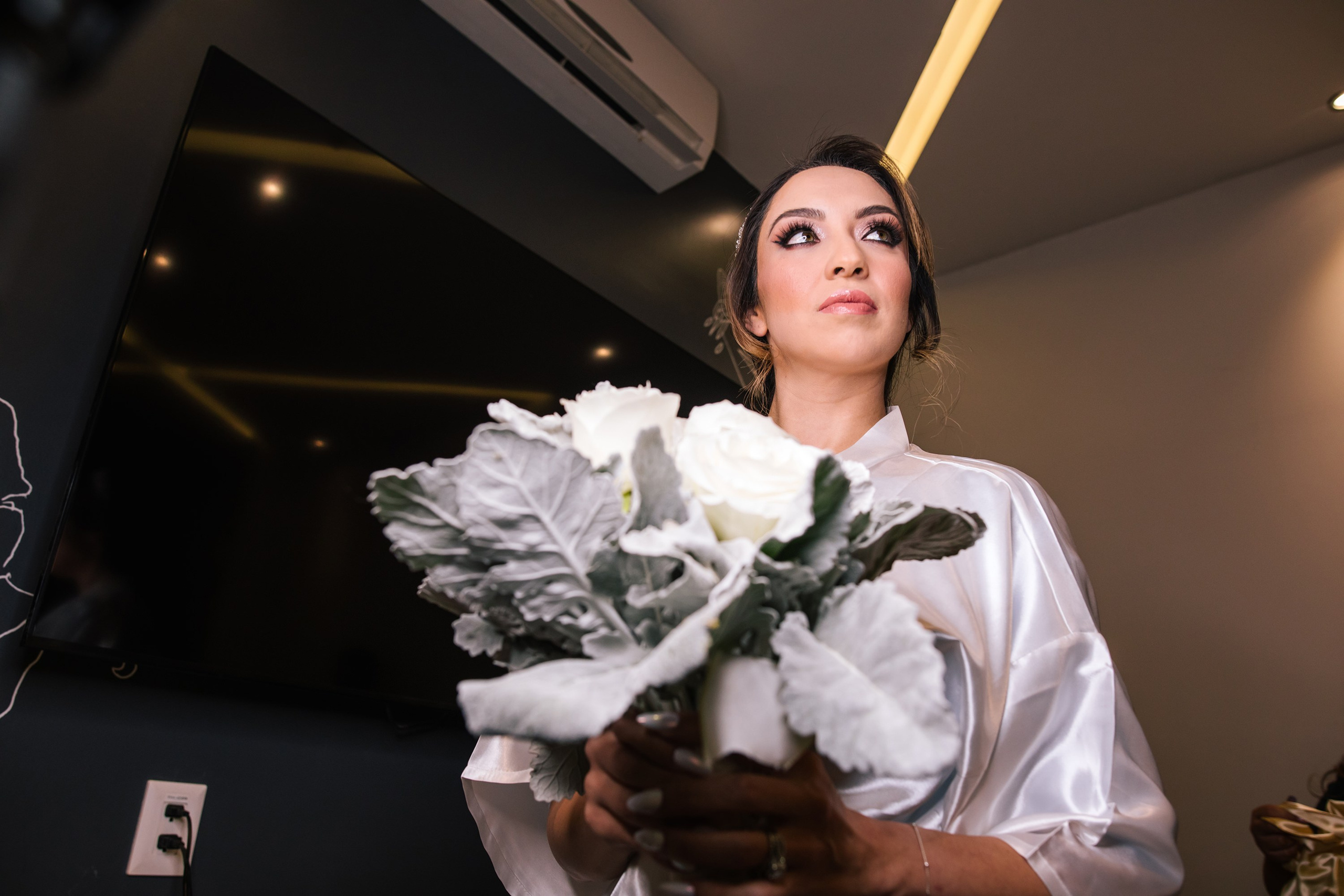 Preparativos /Getting Ready. Principal