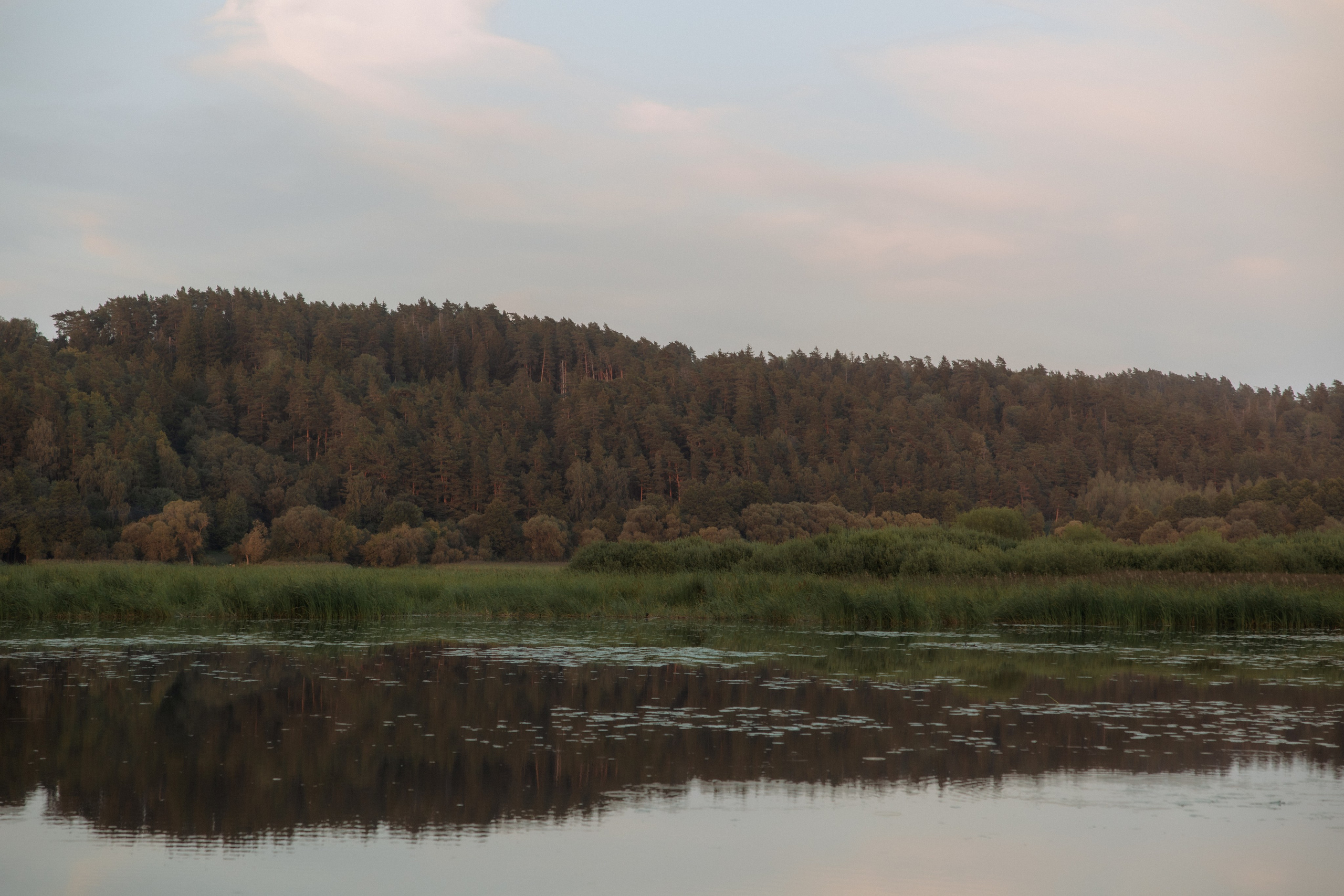 Agnė ir Donatas | 2023 | KAUNAS. Vestuvių ir šeimų fotografė Lena Bondarenko / belove photo