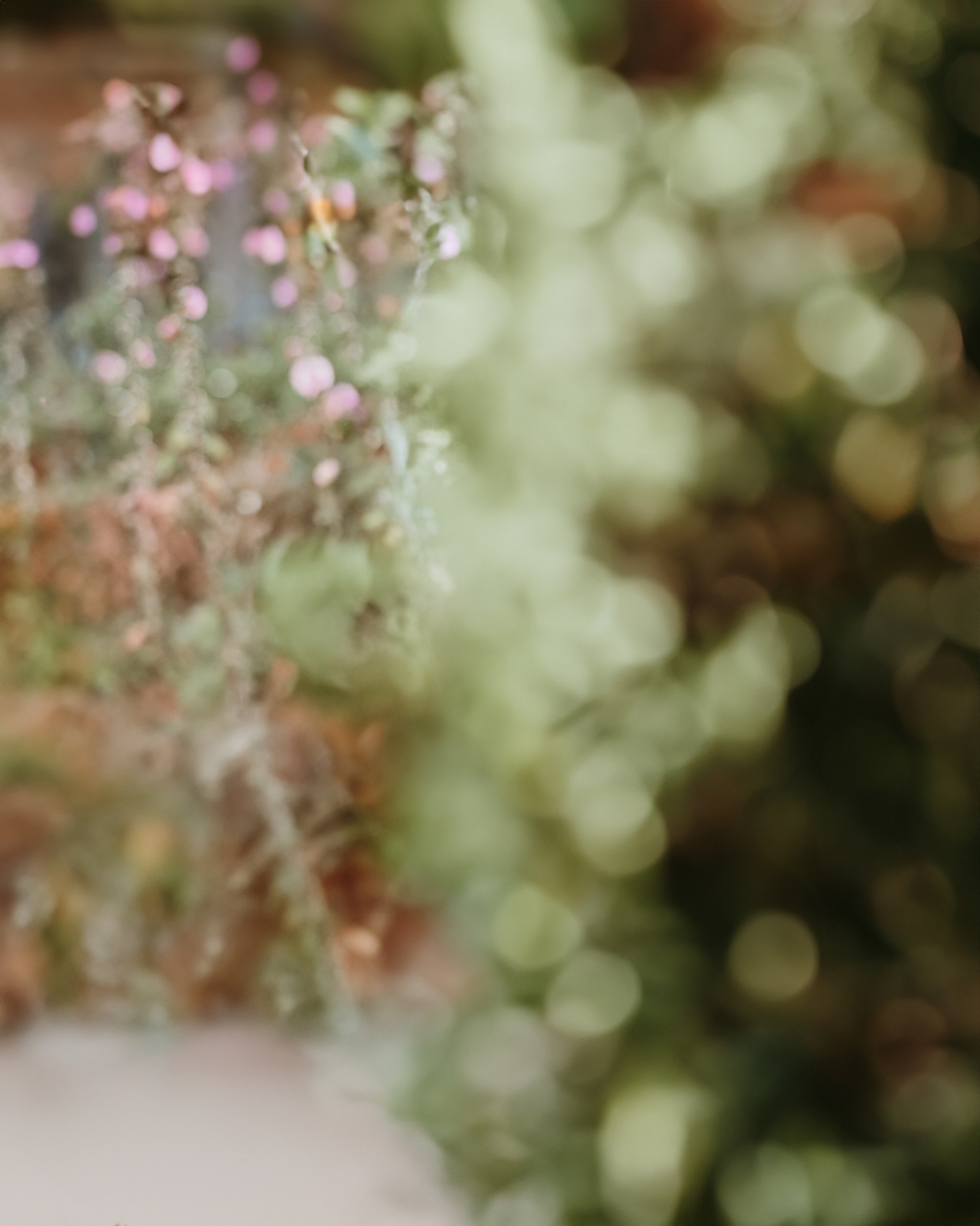 Alina & Michael — Wedding in North Israel. George TLV — Professional photographer and retoucher in Israel