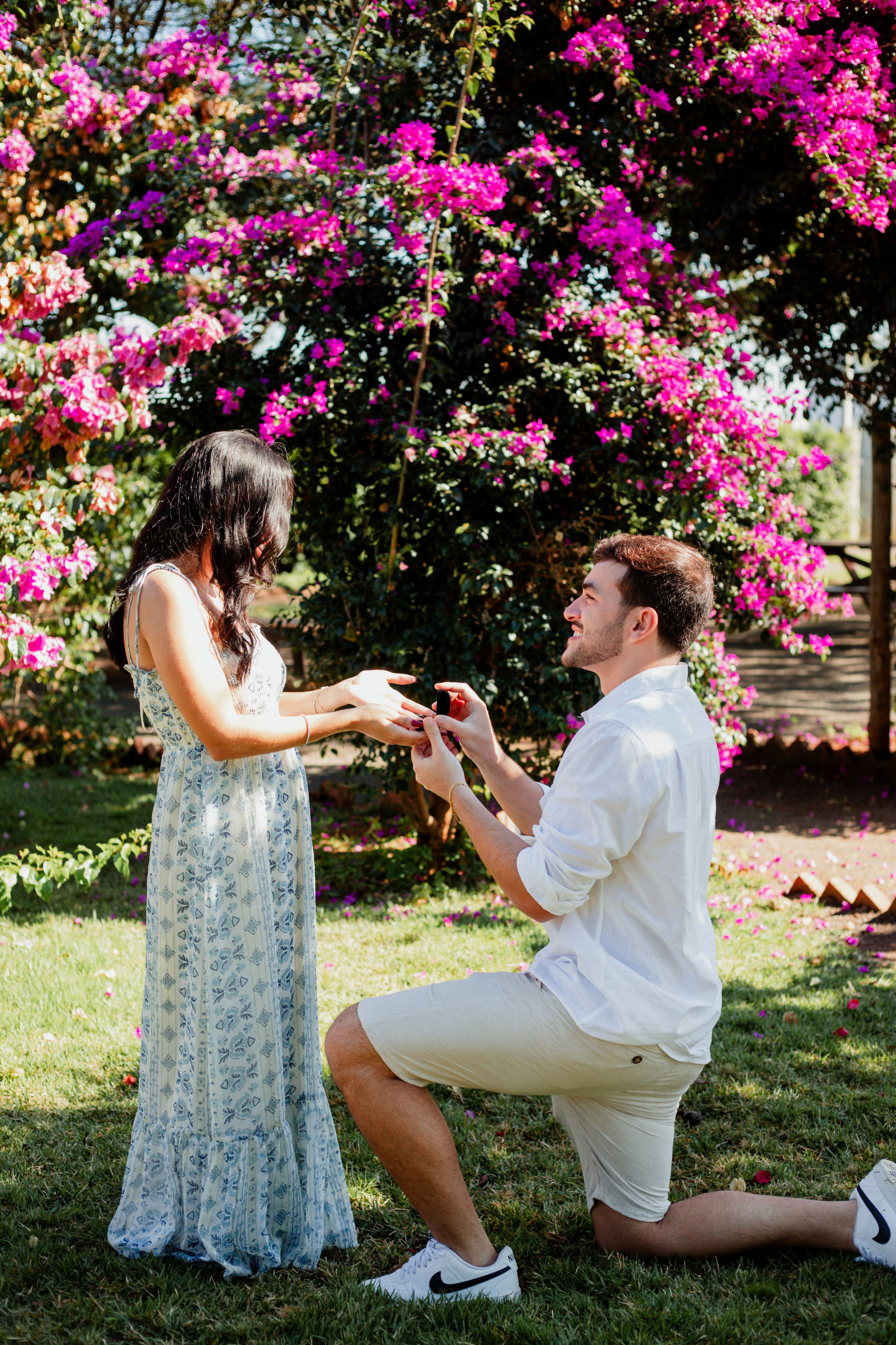 Pedido de casamento /Emilly e Yan. Joyce Maria Fotografia | Fotógrafa em Holambra