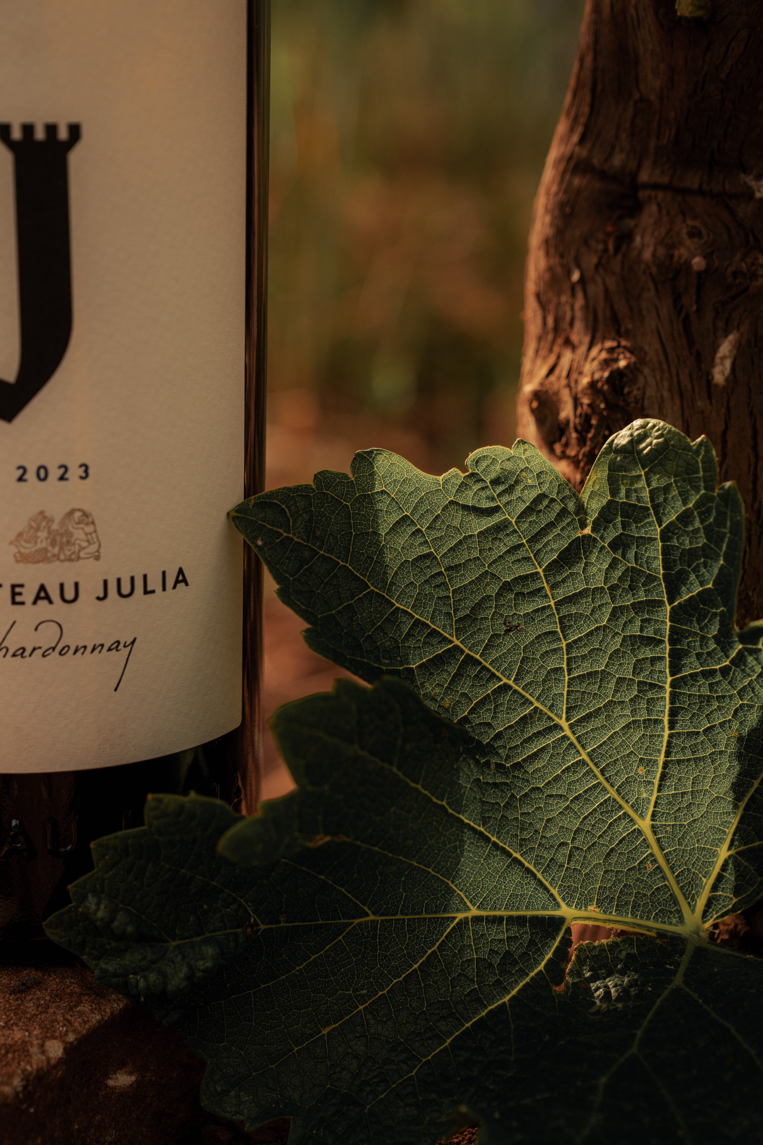 Estates Costa Lazaridi