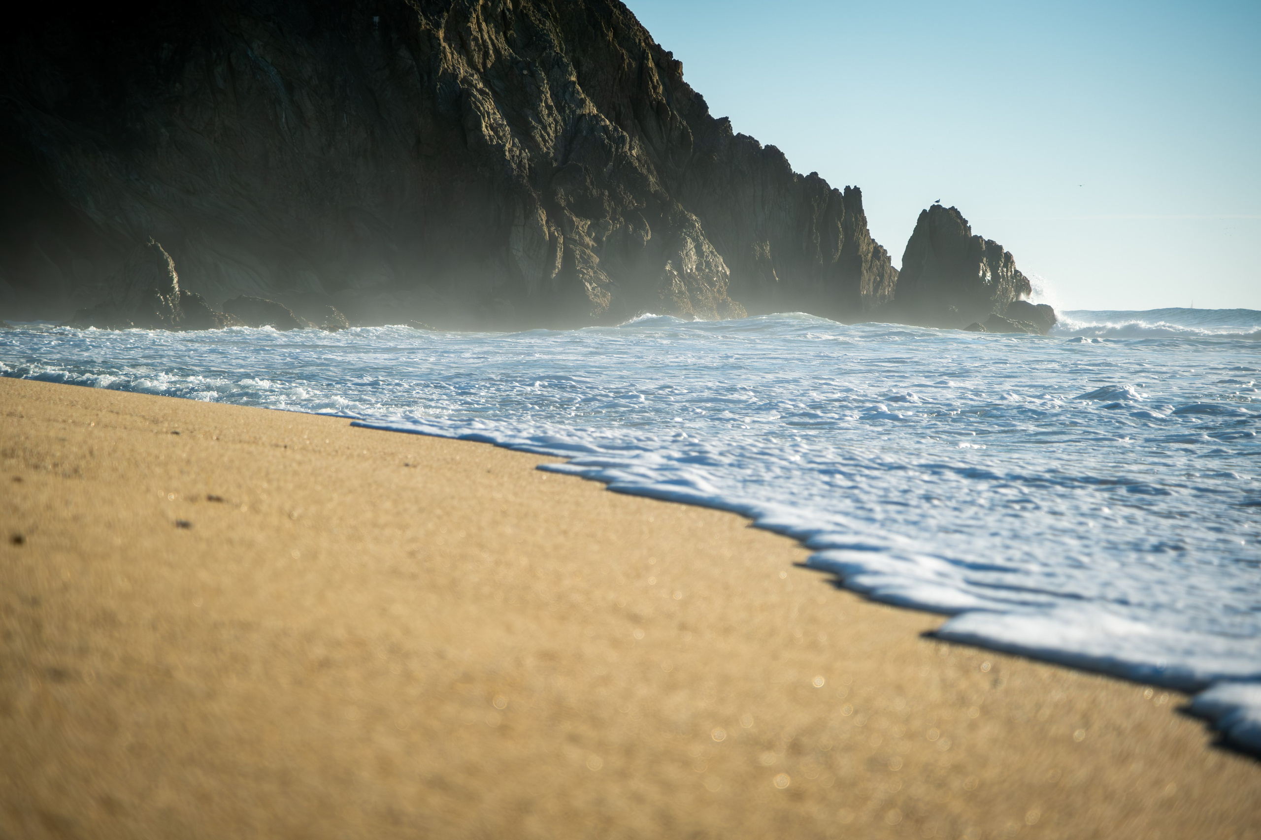 NATURE. Reportage concert portrait photography in the San Francisco Bay Area