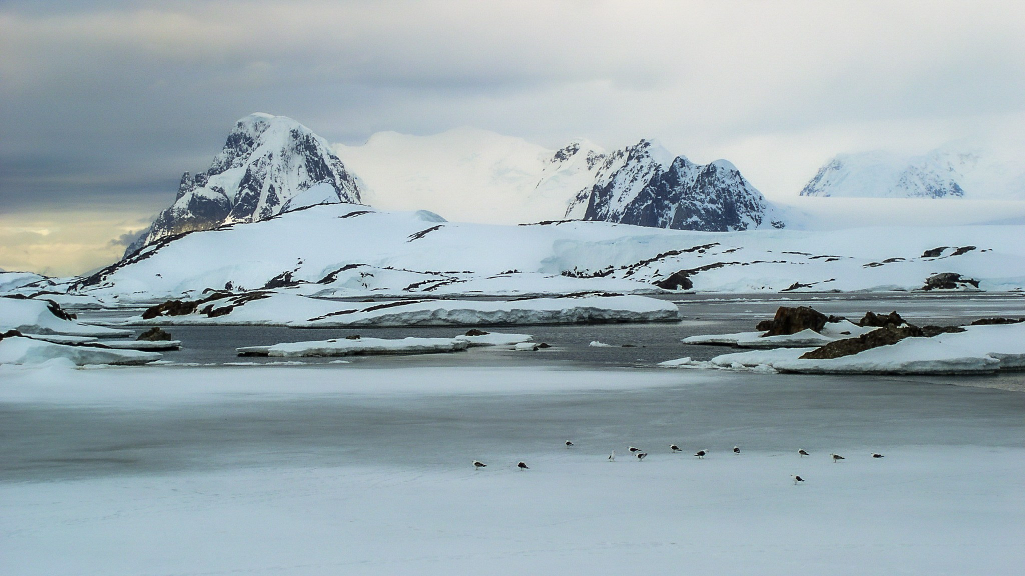 ANTARCTICA / 2004. Reportage concert portrait photography in the San Francisco Bay Area