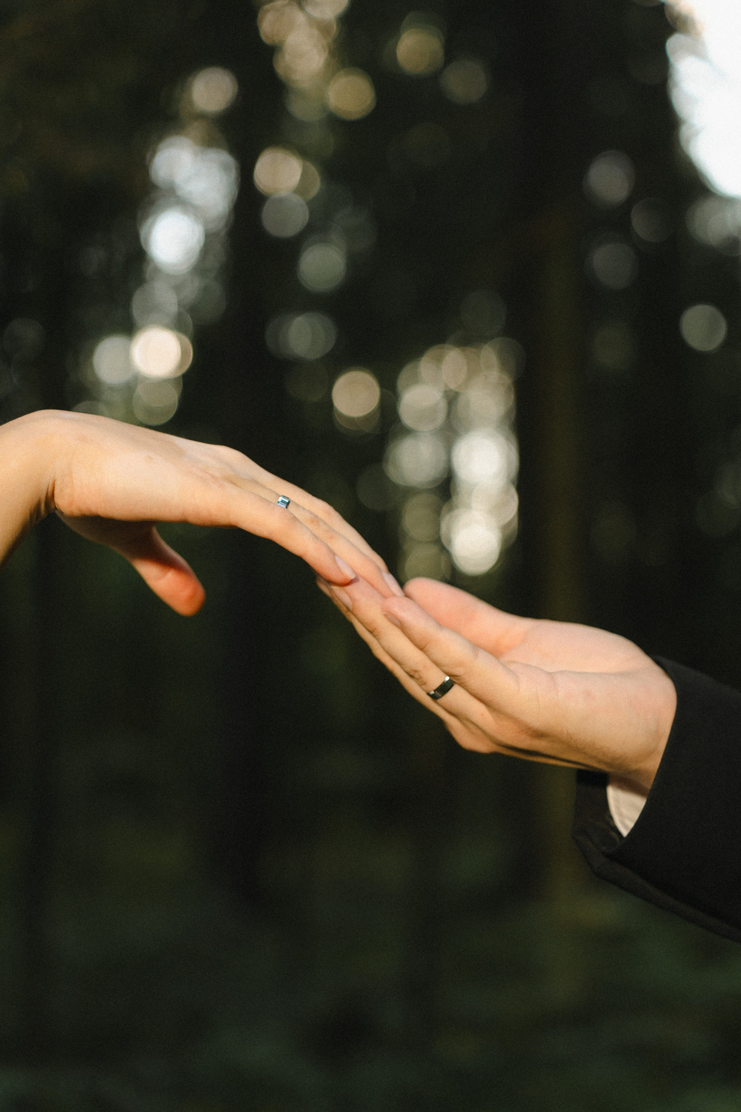 E&S. Montenegro photographer and videographer