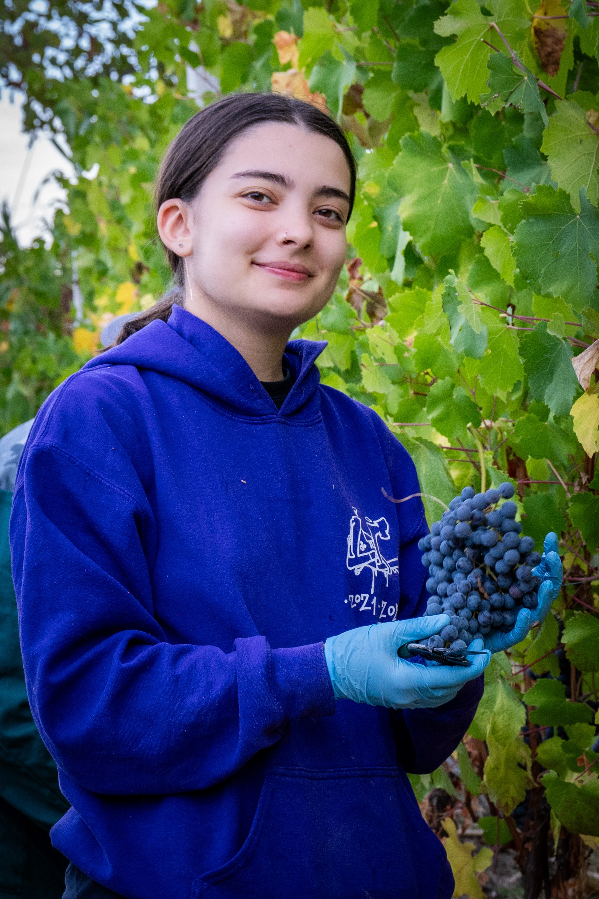 Cantine Boasso Serralunga. “Gianmaria Coscia fotografo per passione”