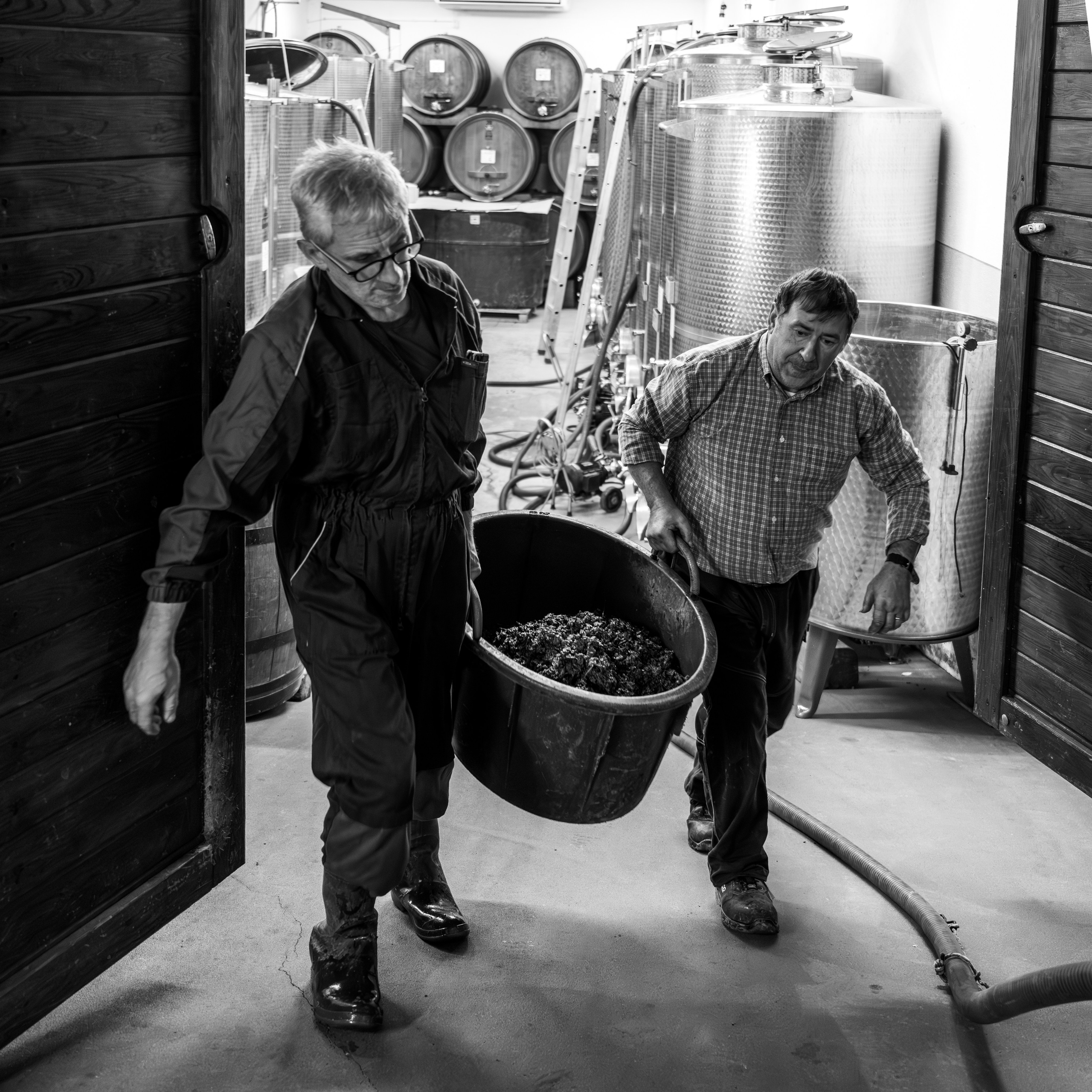 Cantine Boasso Serralunga. “Gianmaria Coscia fotografo per passione”