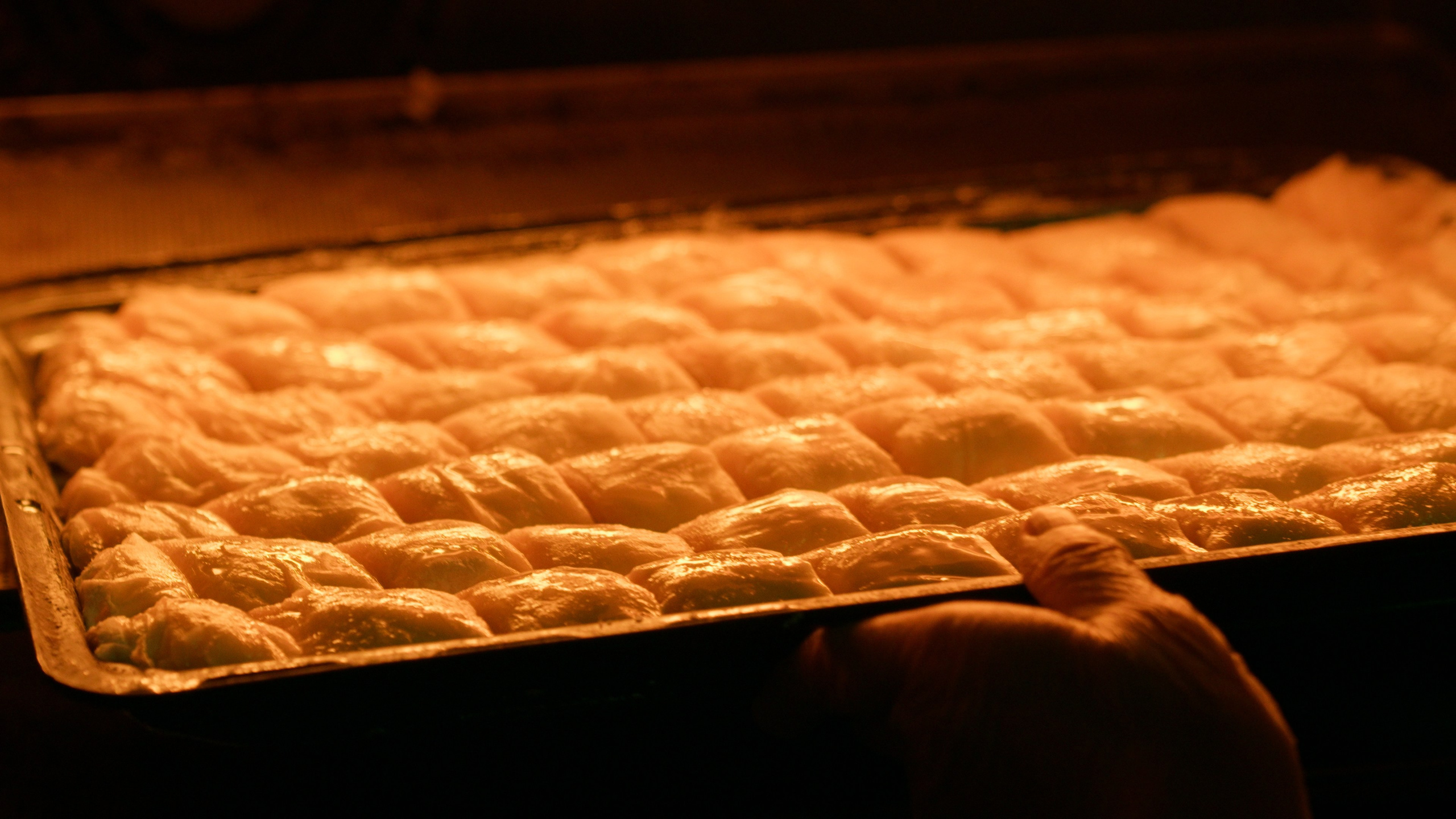 Djullka Bakllava Brand Video. Hamza Makić Cinematographer, Photographer & Visual Artist