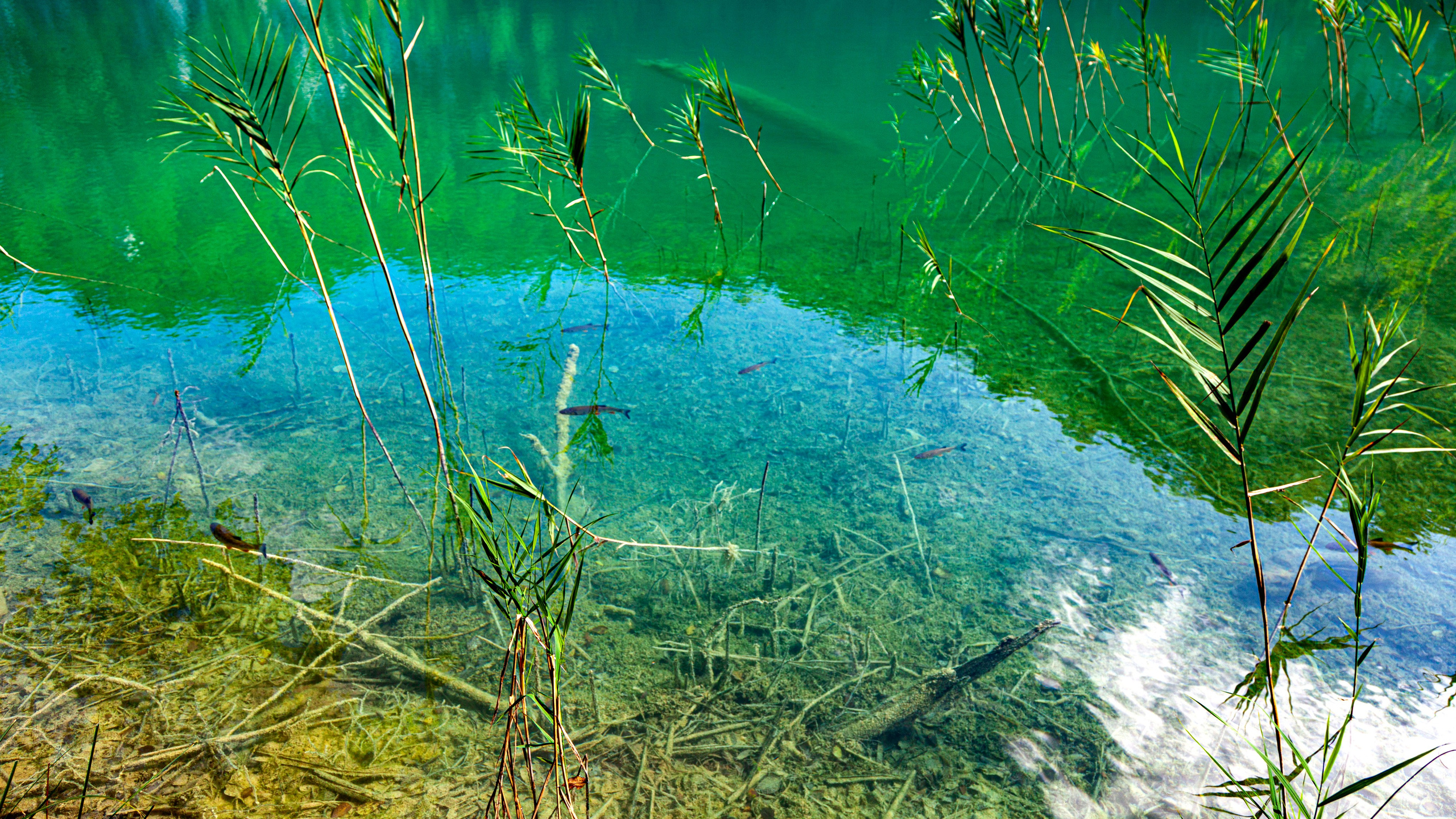 161.Plitvice lakes.17.9.2023. Путешествия в формате 360......