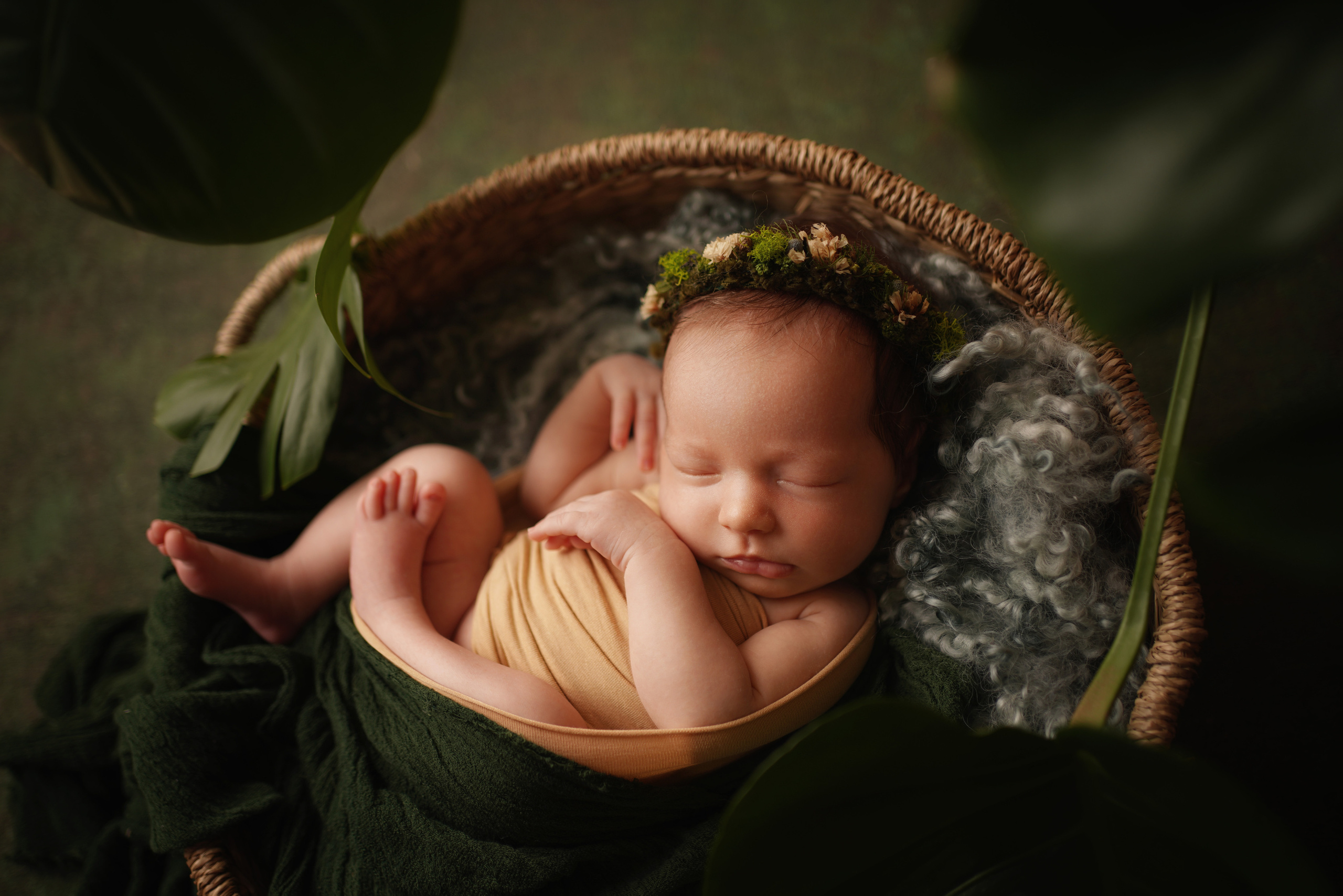 Zarte Blüten auf Dunkelheit: Neugeborenenfotografie einer süßen Mädchenprinzessi