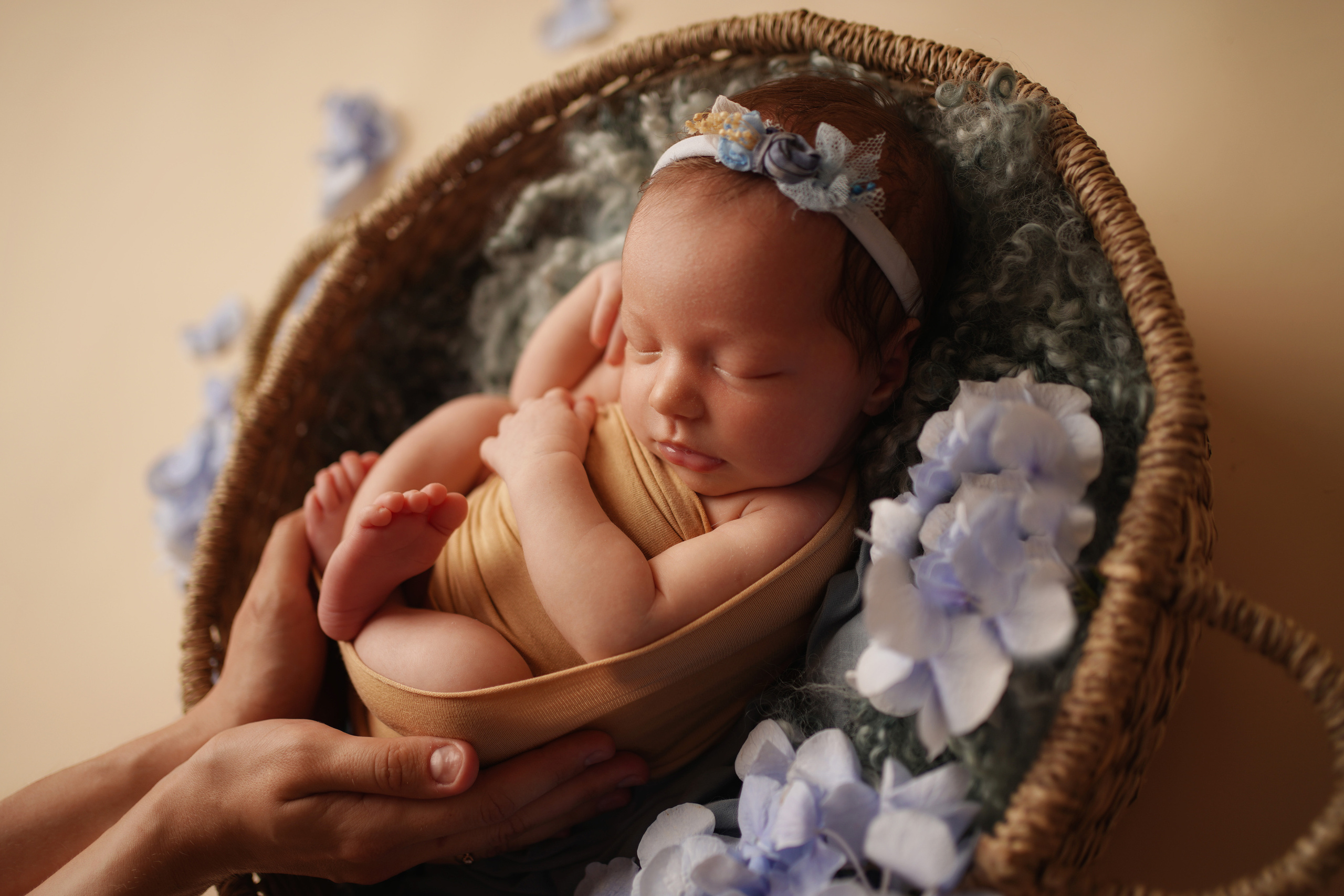 Beige- und Blaupalette für Neugeborenenfotos