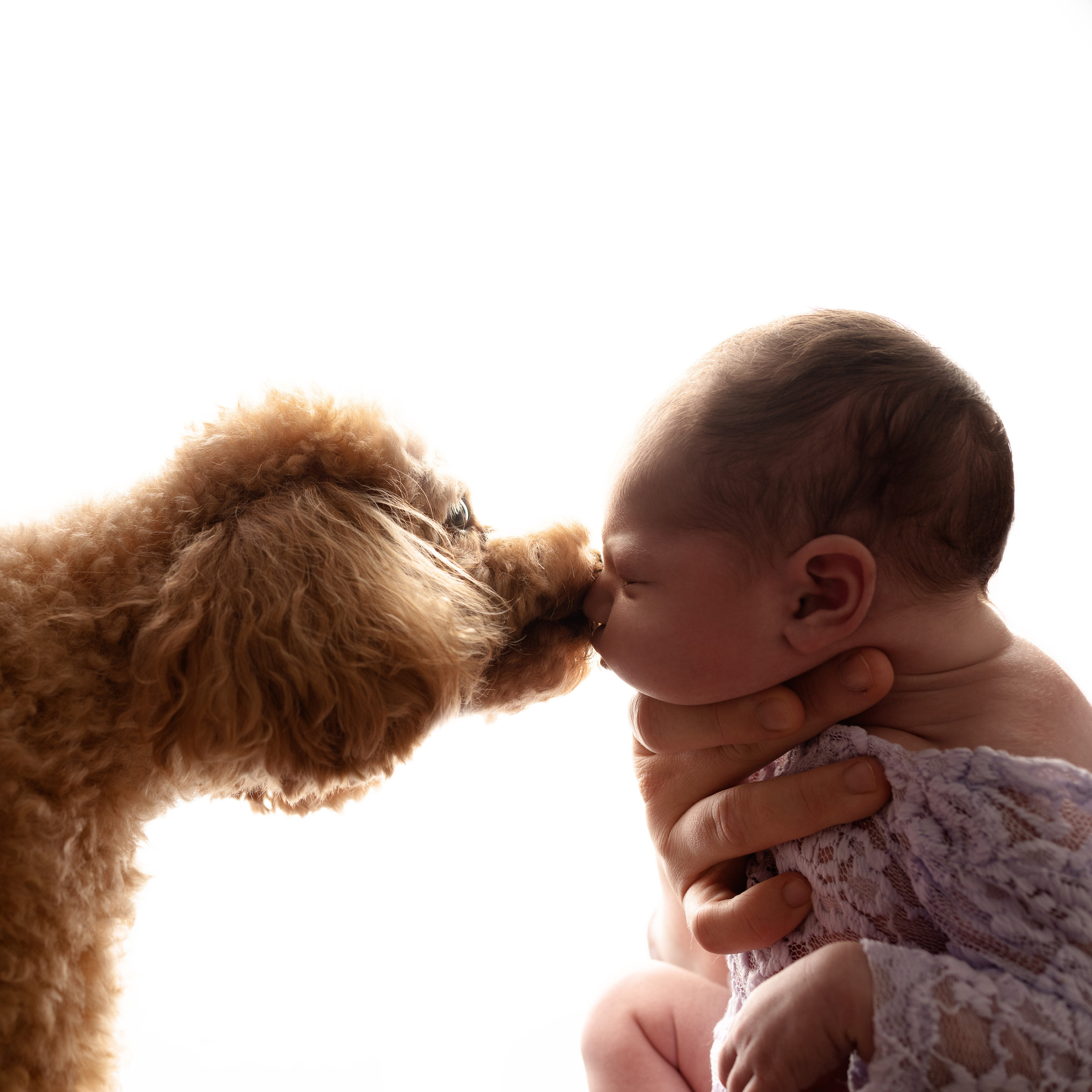 Zarte Neugeborenenfotografie im Fotostudio. Neugeborenenfotografin und Retoucher in Augsburg Nastassia Schneider