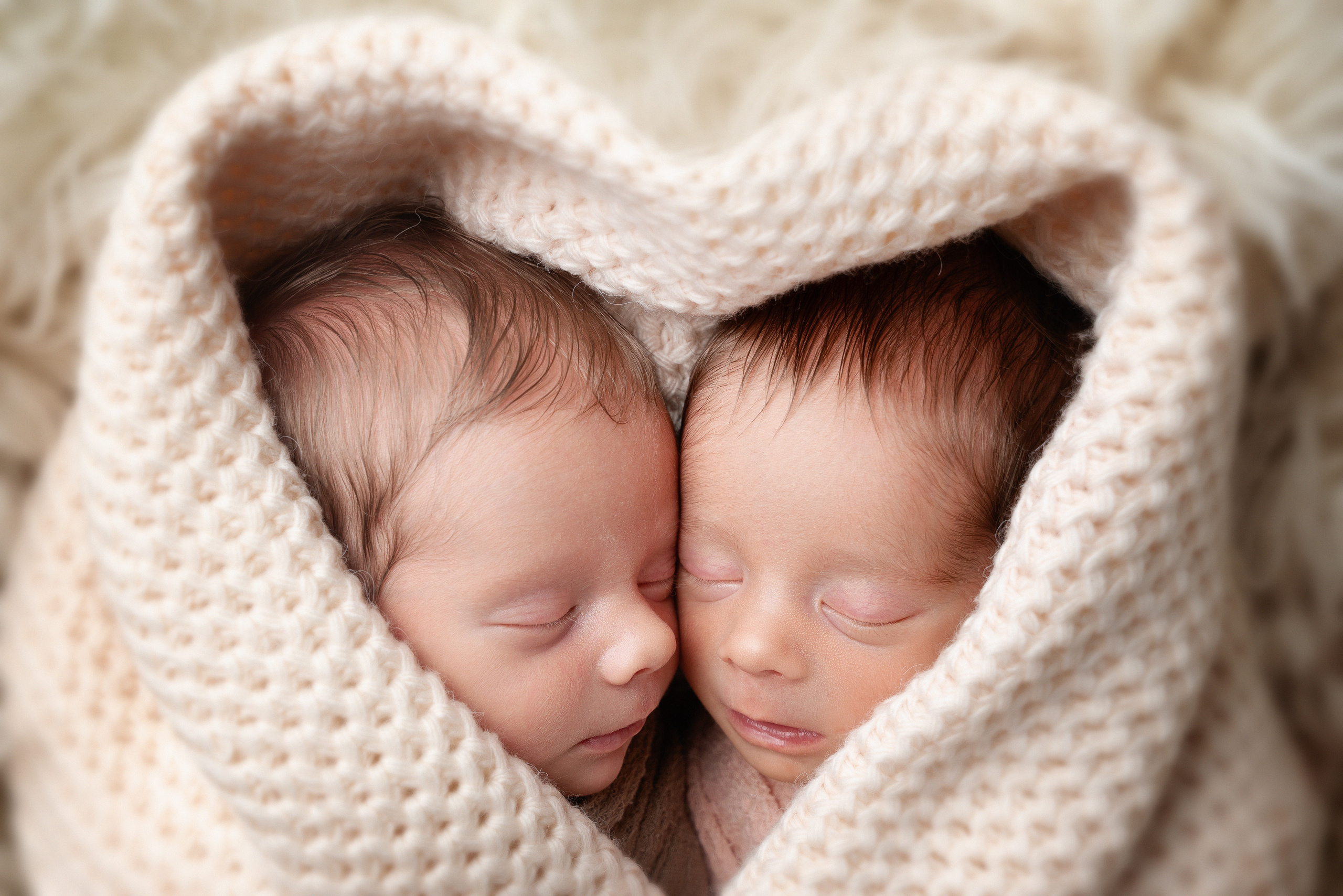 Zwillinge Nase an Nase in einem Herzen