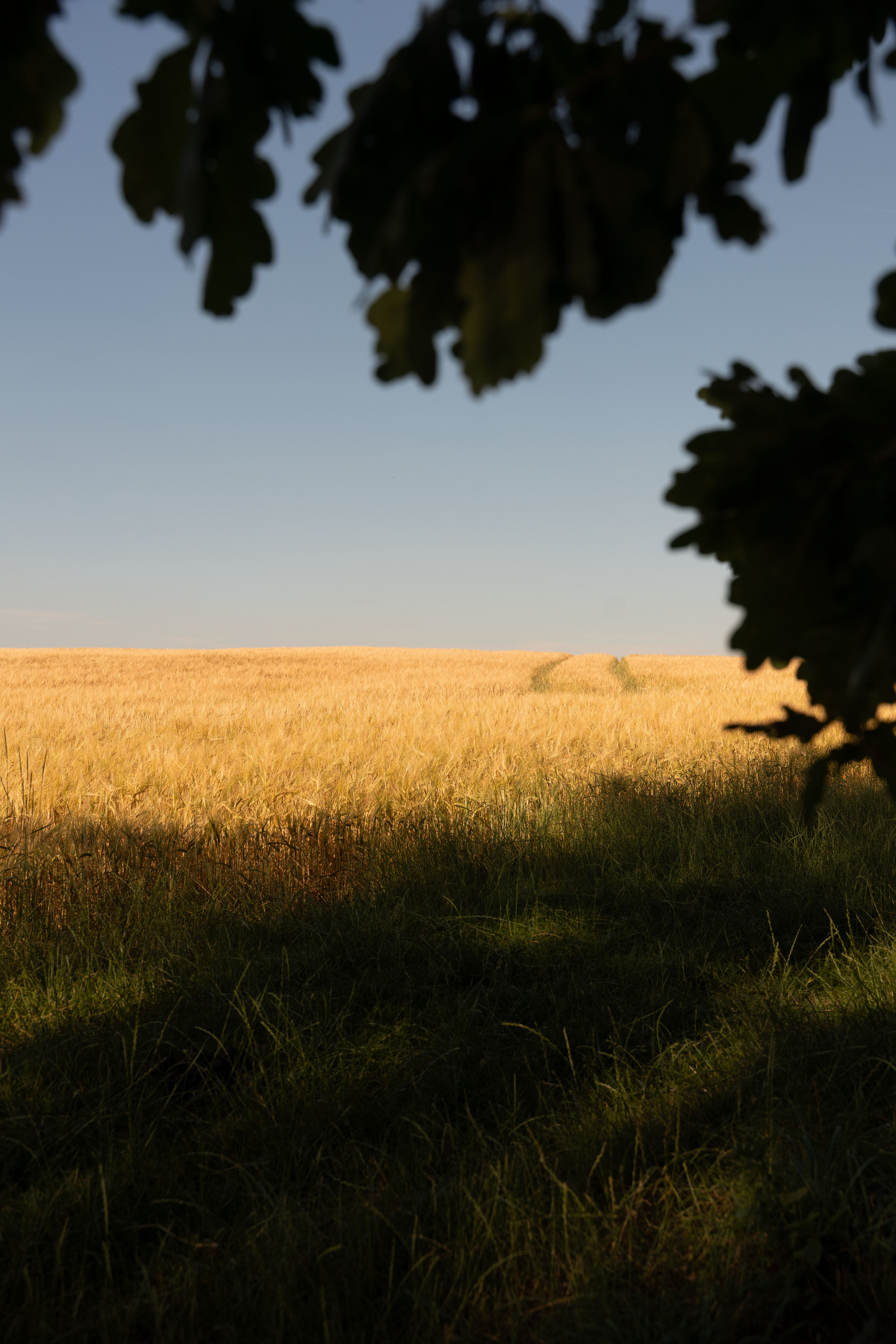 Bayern. Neugeborenenfotografin und Retoucher in Augsburg Nastassia Schneider
