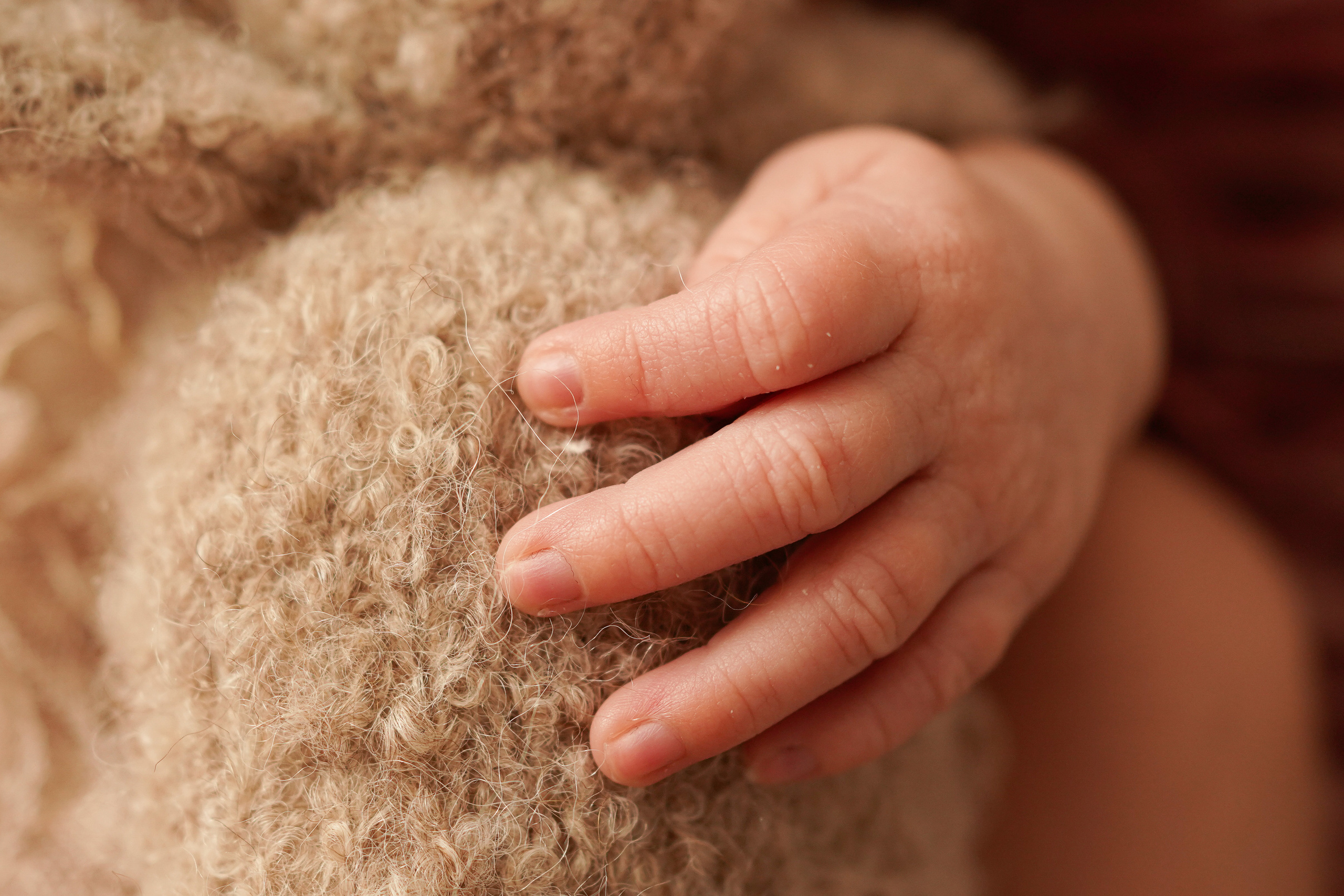 Süße Details: Neugeborenenfotos, die begeistern