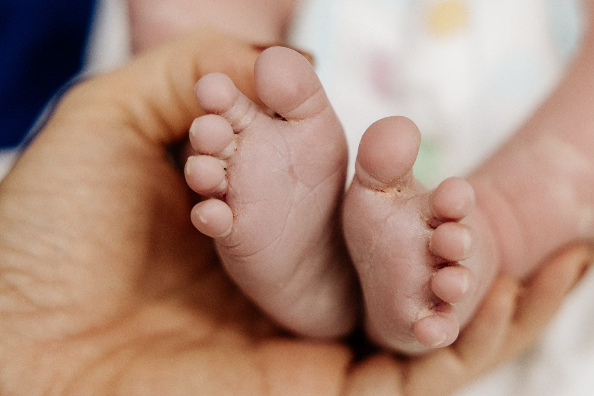 Gestantes e Partos. Priscilla Leão, fotógrafa em São Paulo