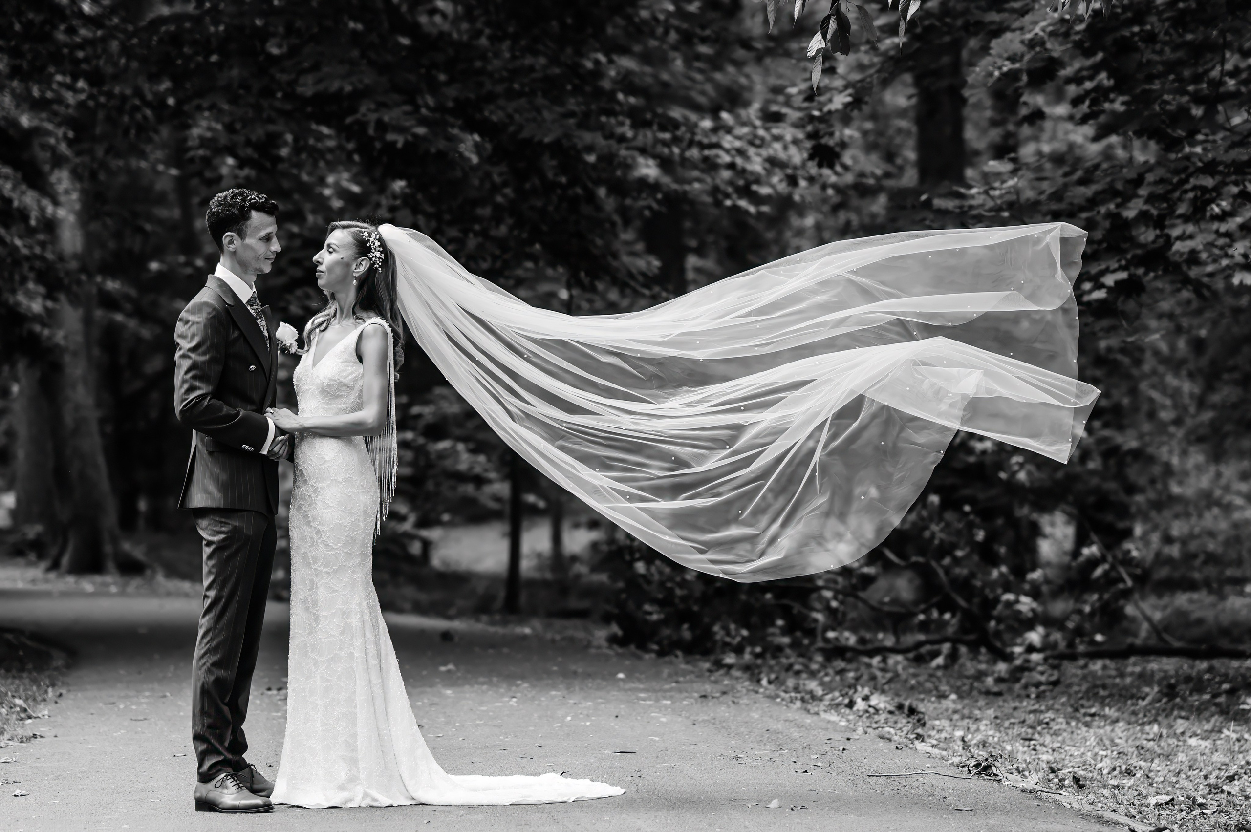 Nunta Alina & Alexandru (Sibiu 2026). Sabin Florin Fotograf Nunta