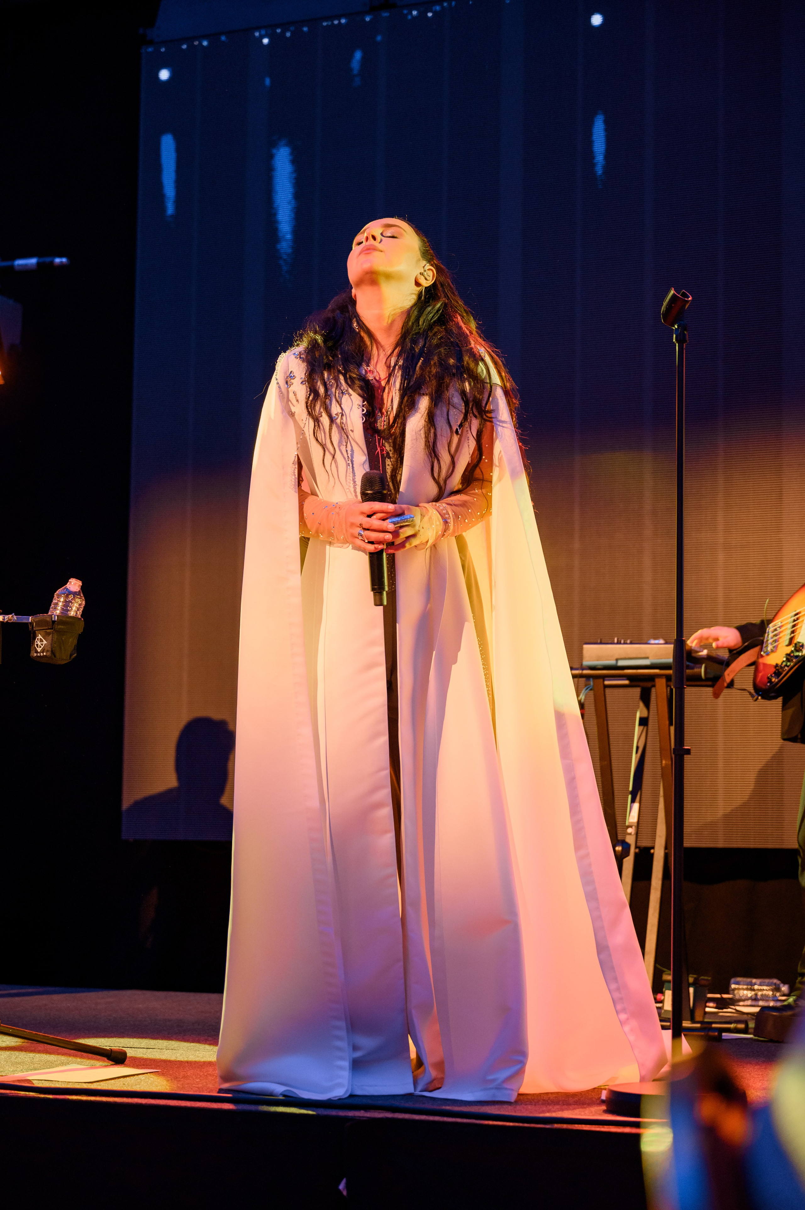 LUkraine Chatity DInner. Photographer in Luxembourg Tanita