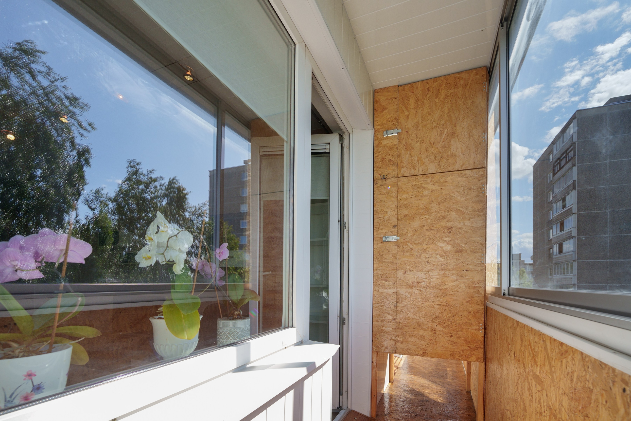 Viršuliškių g. 29. Elina Sapiega fotografė Vilniuje