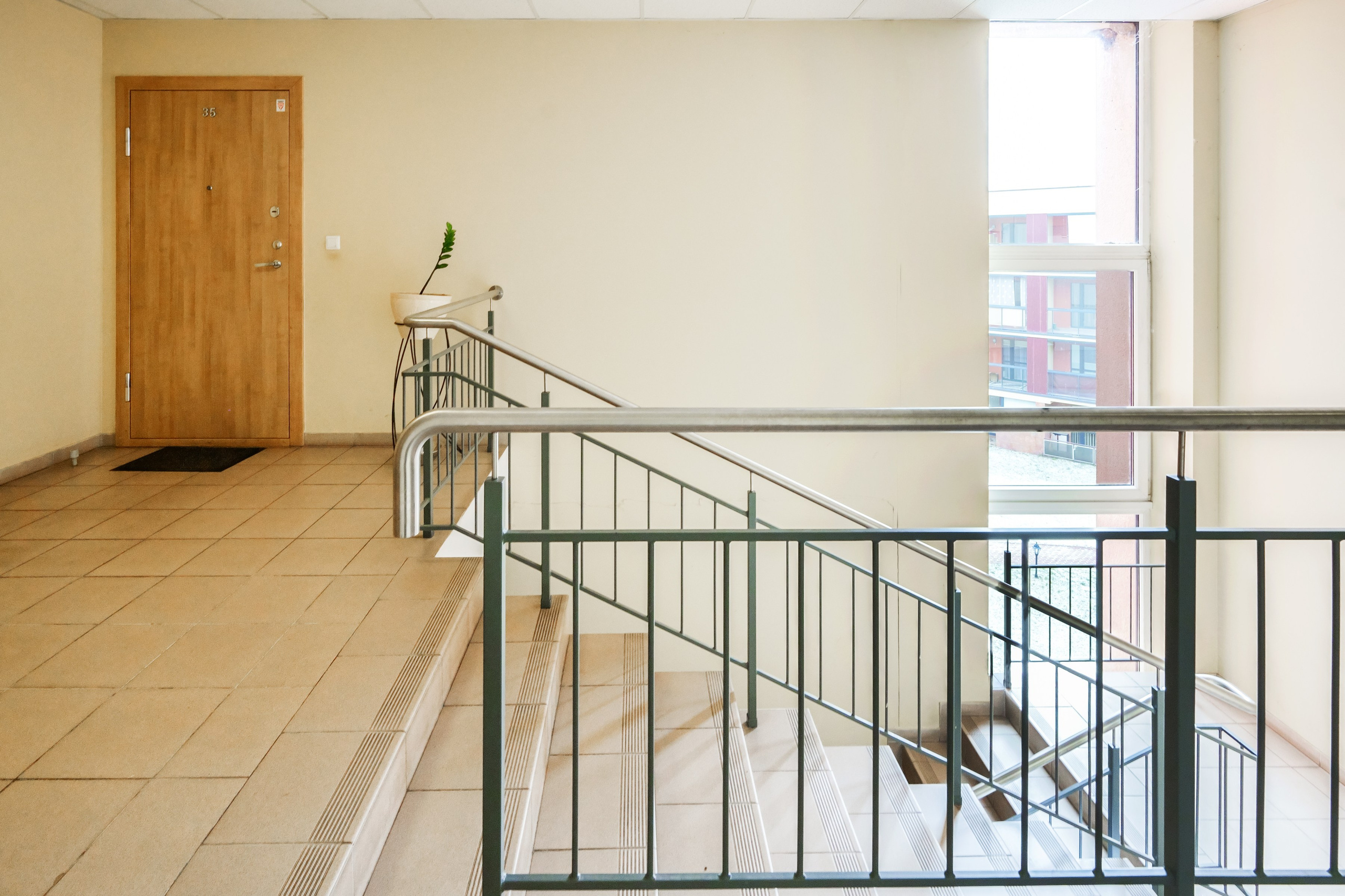 Bajorų kelias 1. Elina Sapiega fotografė Vilniuje