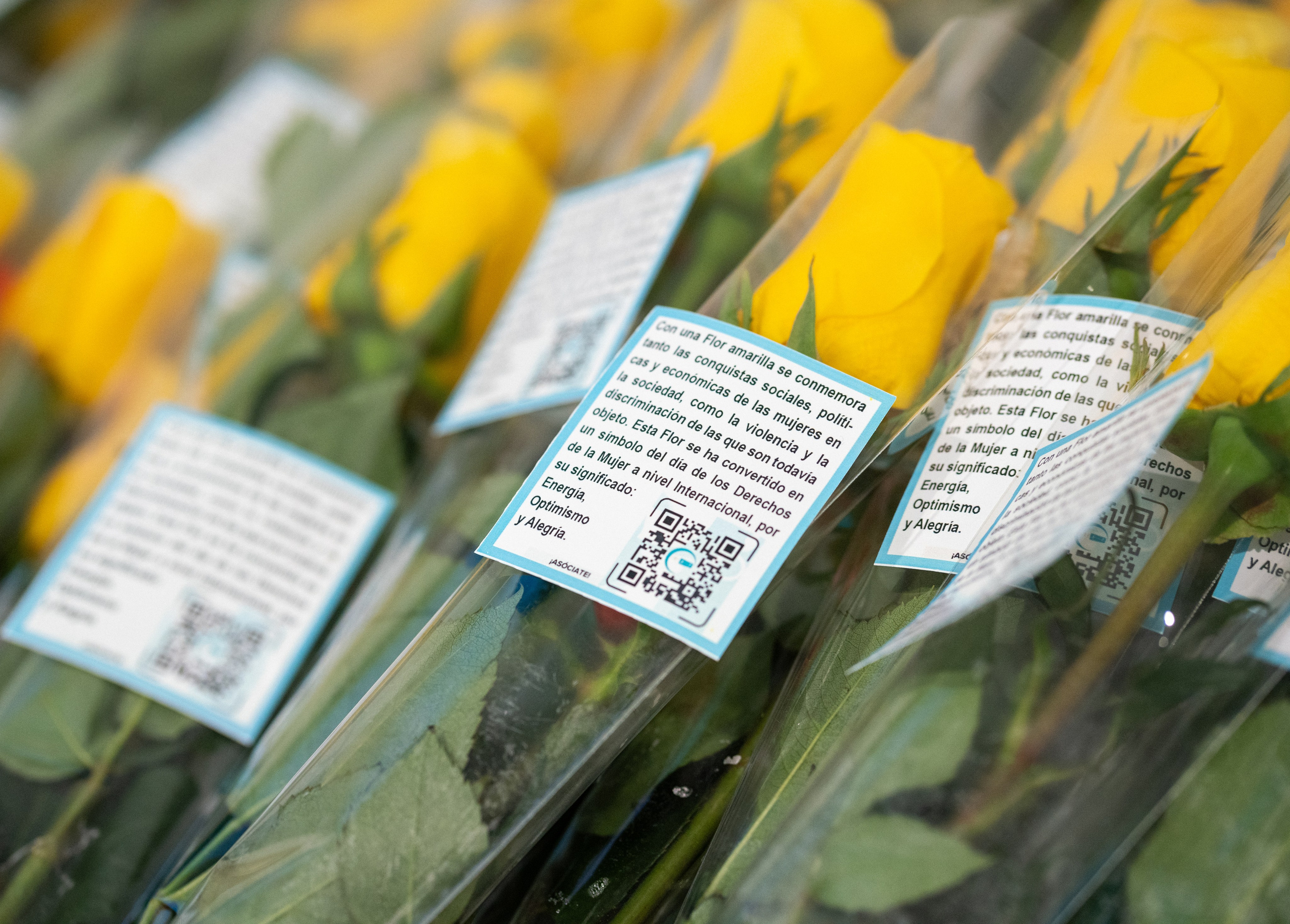 ASEME. Бизнес ивент. Женские портреты в Мадриде — естественная красота и свет | Anna Maruleva