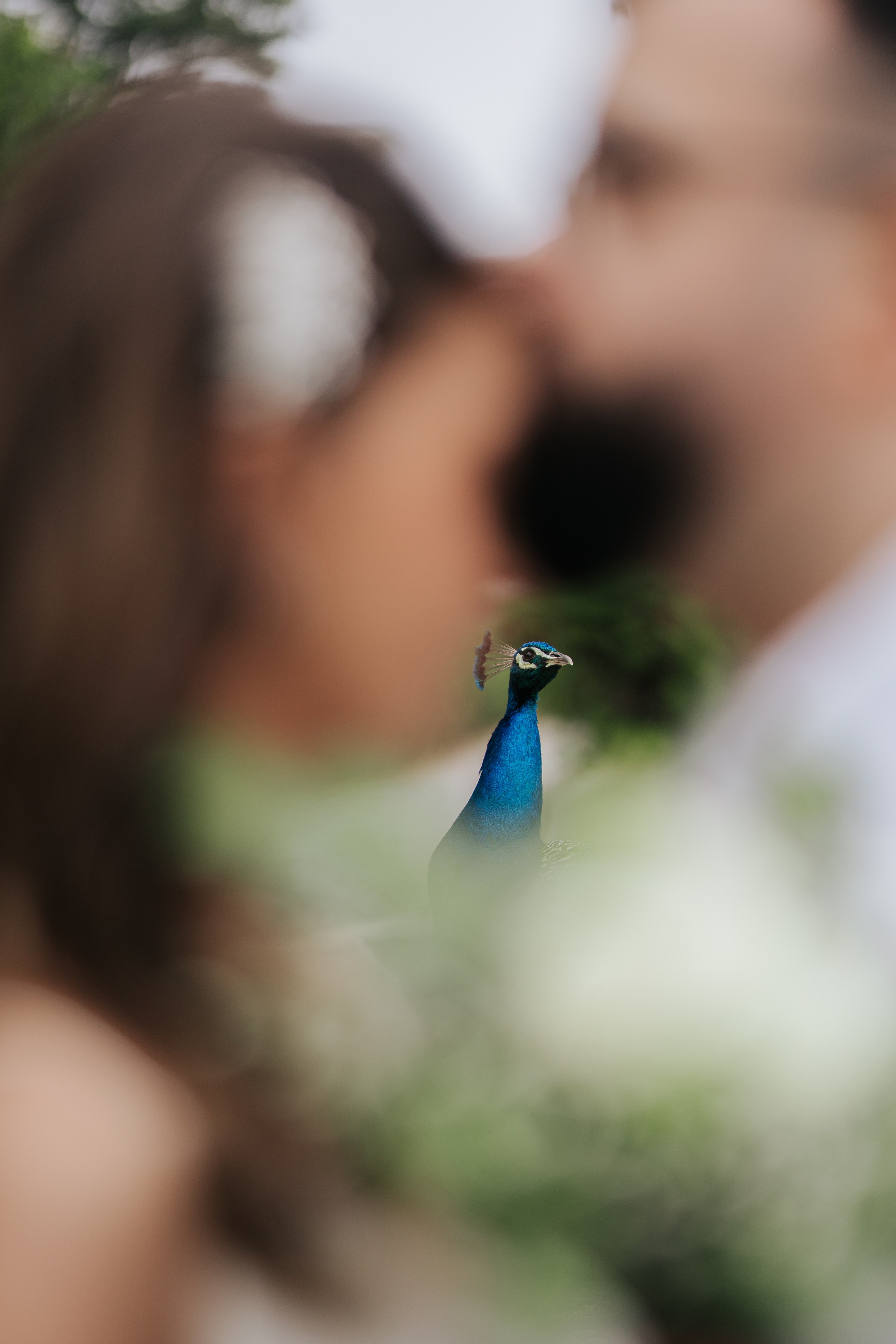 Pre Wedding Giovanna e André. Davi Valente