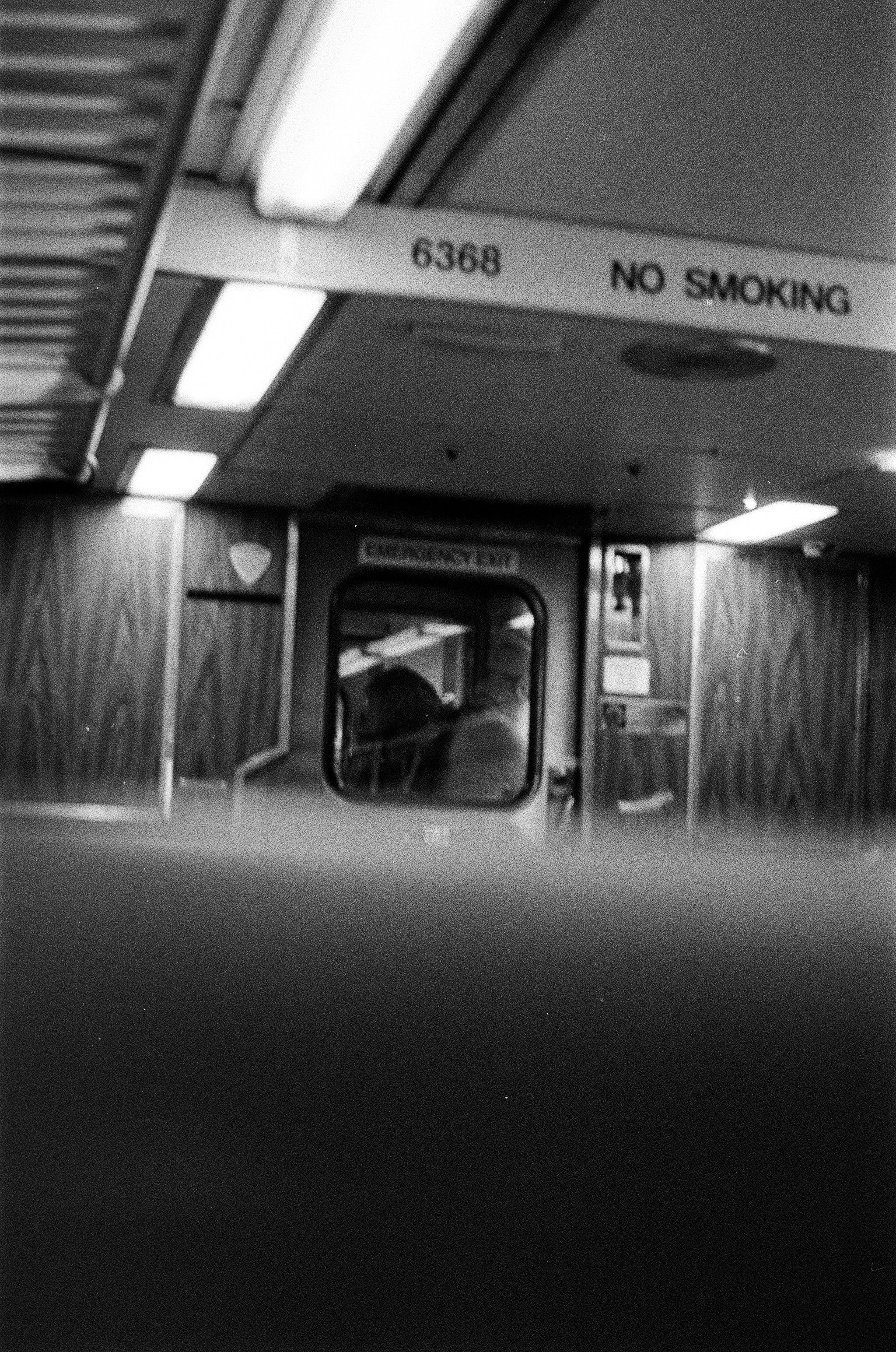 Film. NYC photographer | portraits, couples, graduation