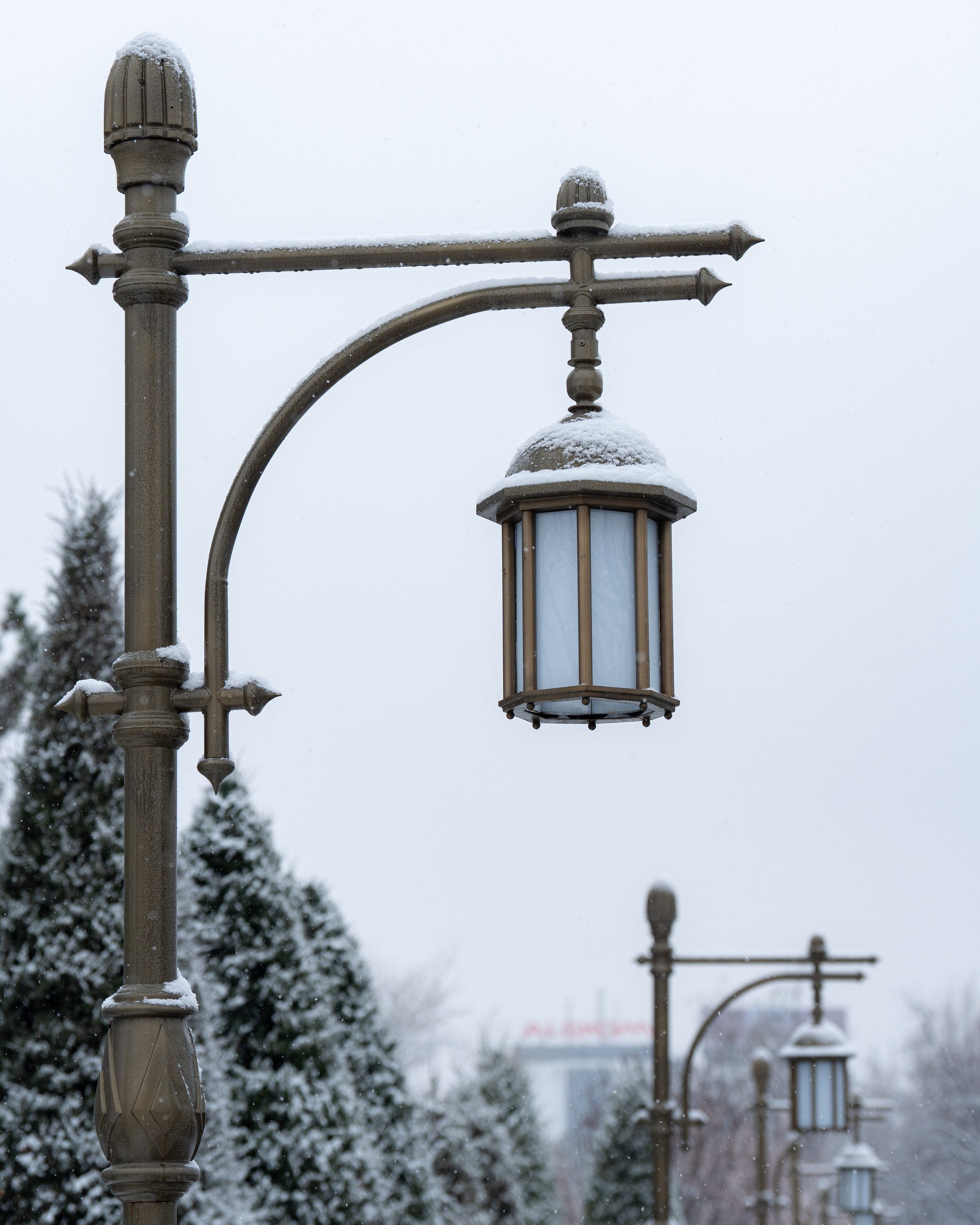 Первый снег в 2024 году. Георгий Намазов | Фотограф в Ташкенте