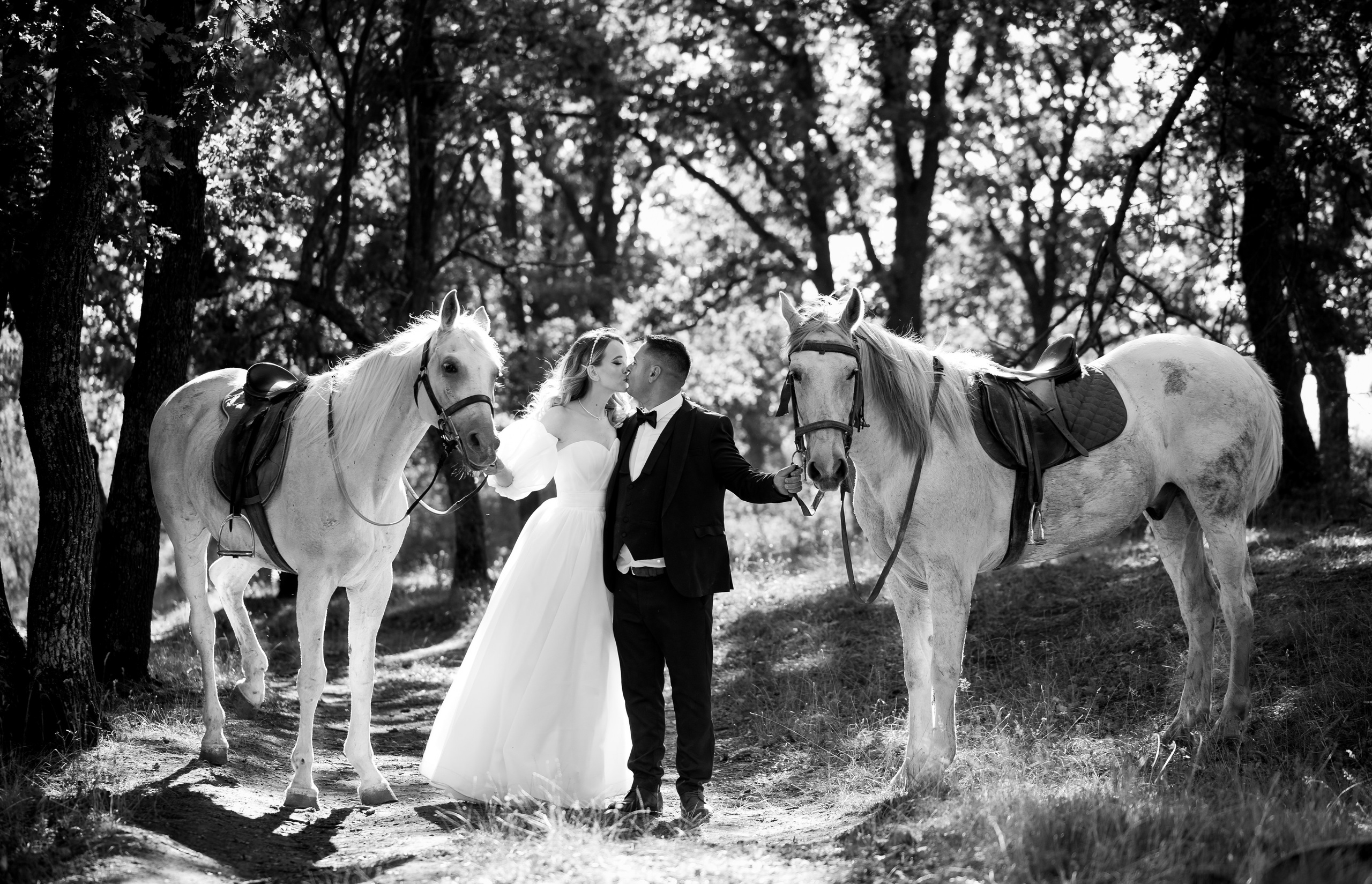 Fotografii de la sedinte foto Trash the Dress. Codux — Fotograf Tulcea | Fotograf Evenimente