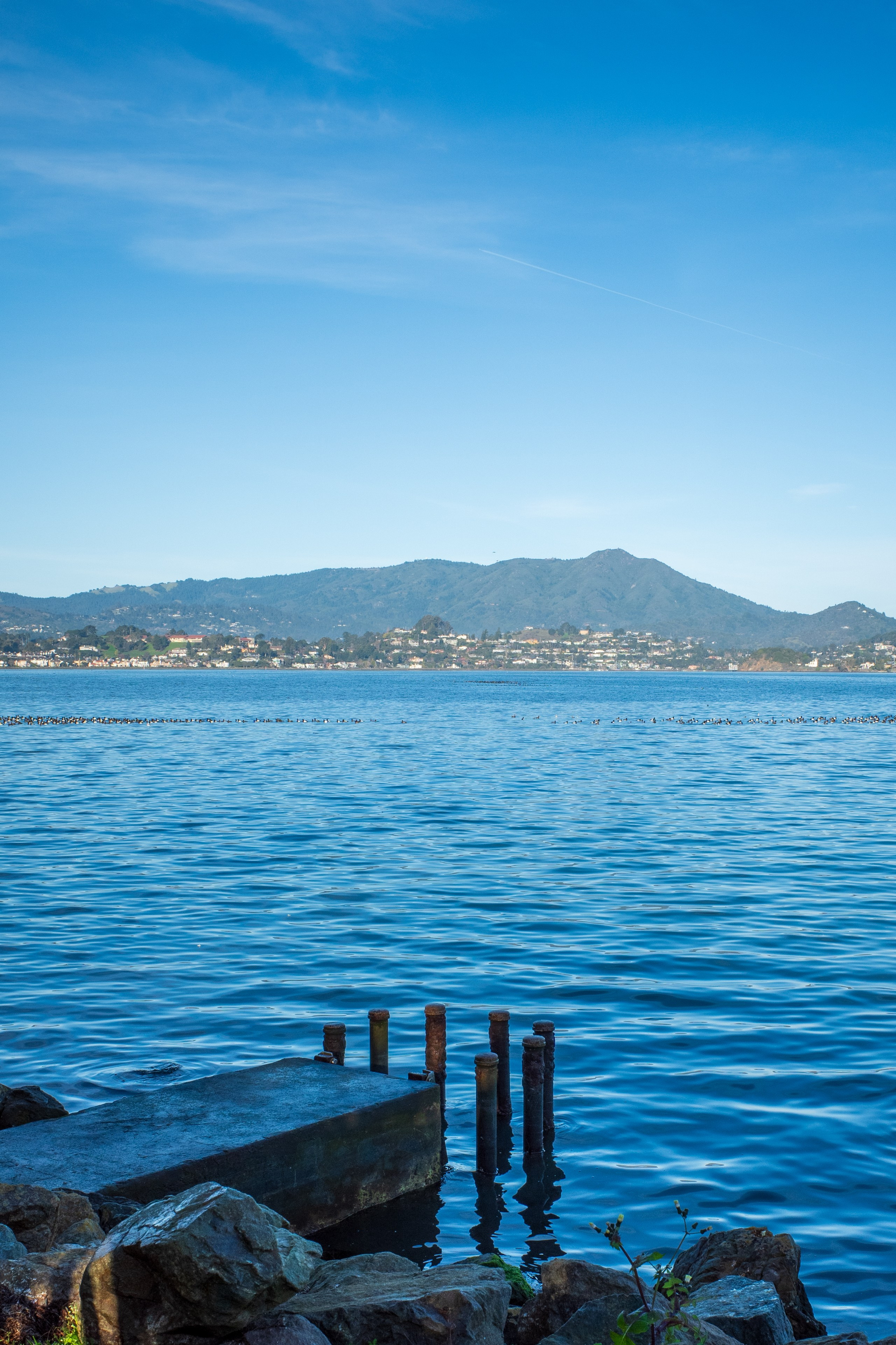 San Francisco. Aleks.photo | Book a photoshoot