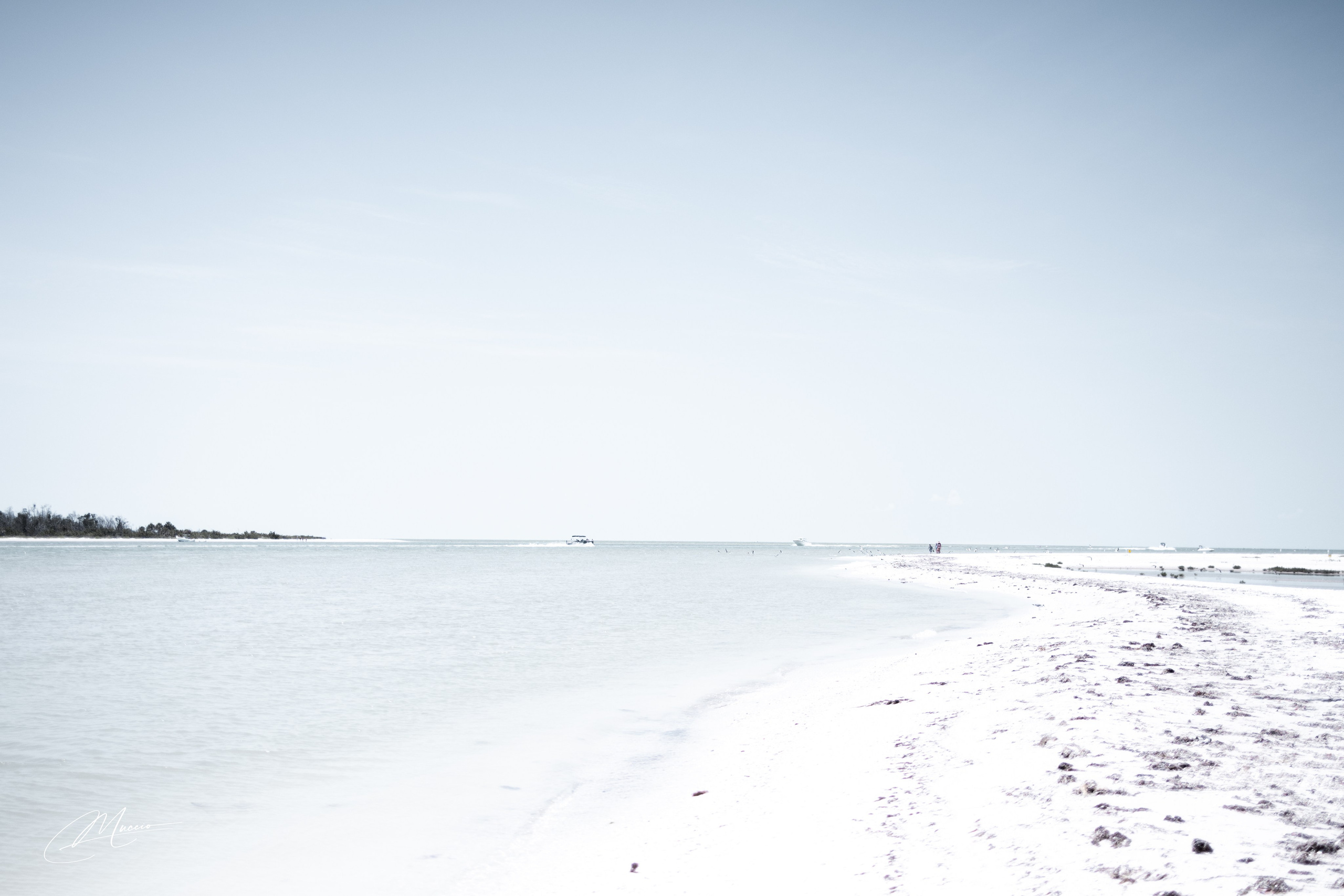 Fort Myers. Out and About 239