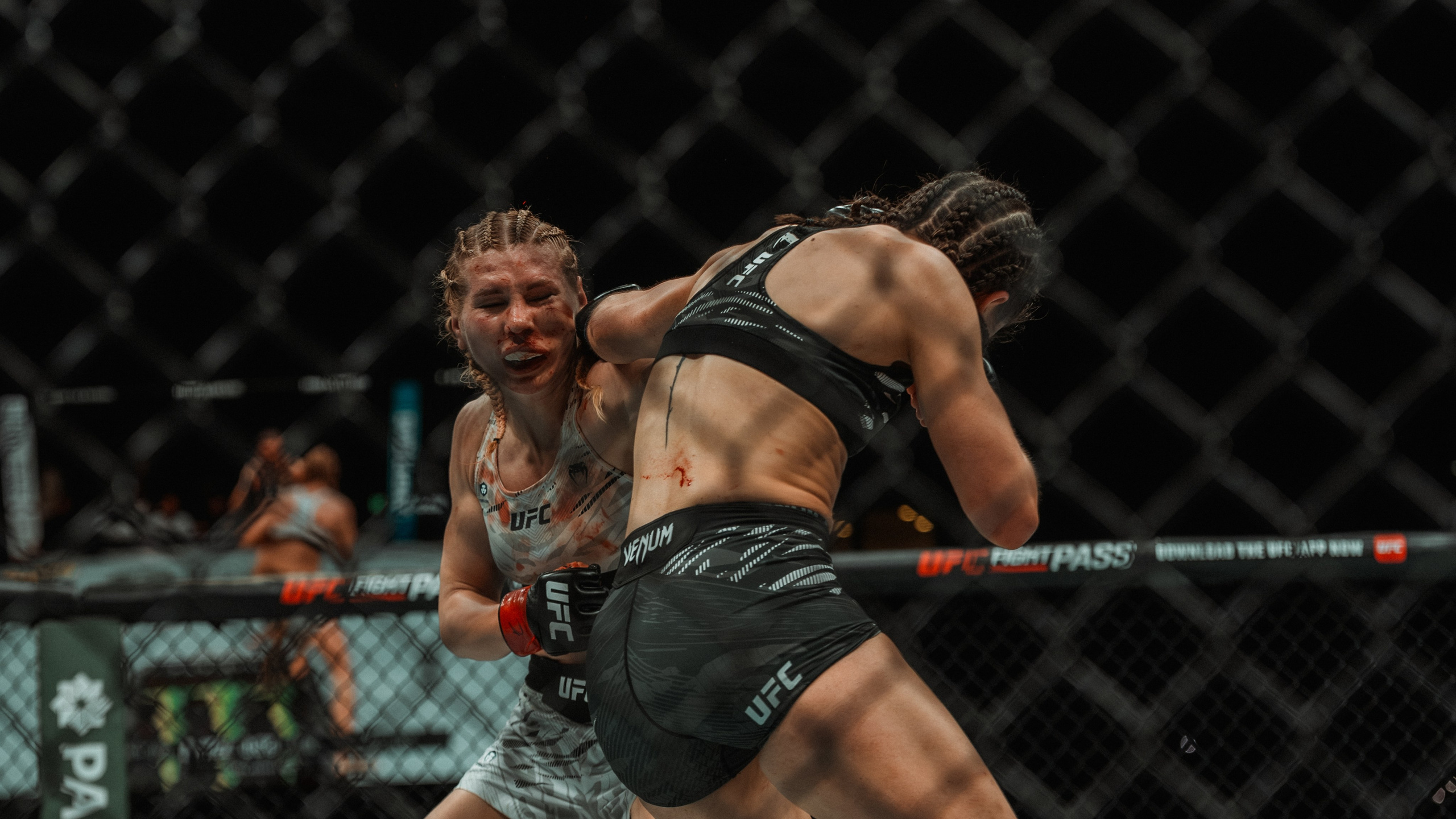 UFC. Commercial and Event photographer Eltaj