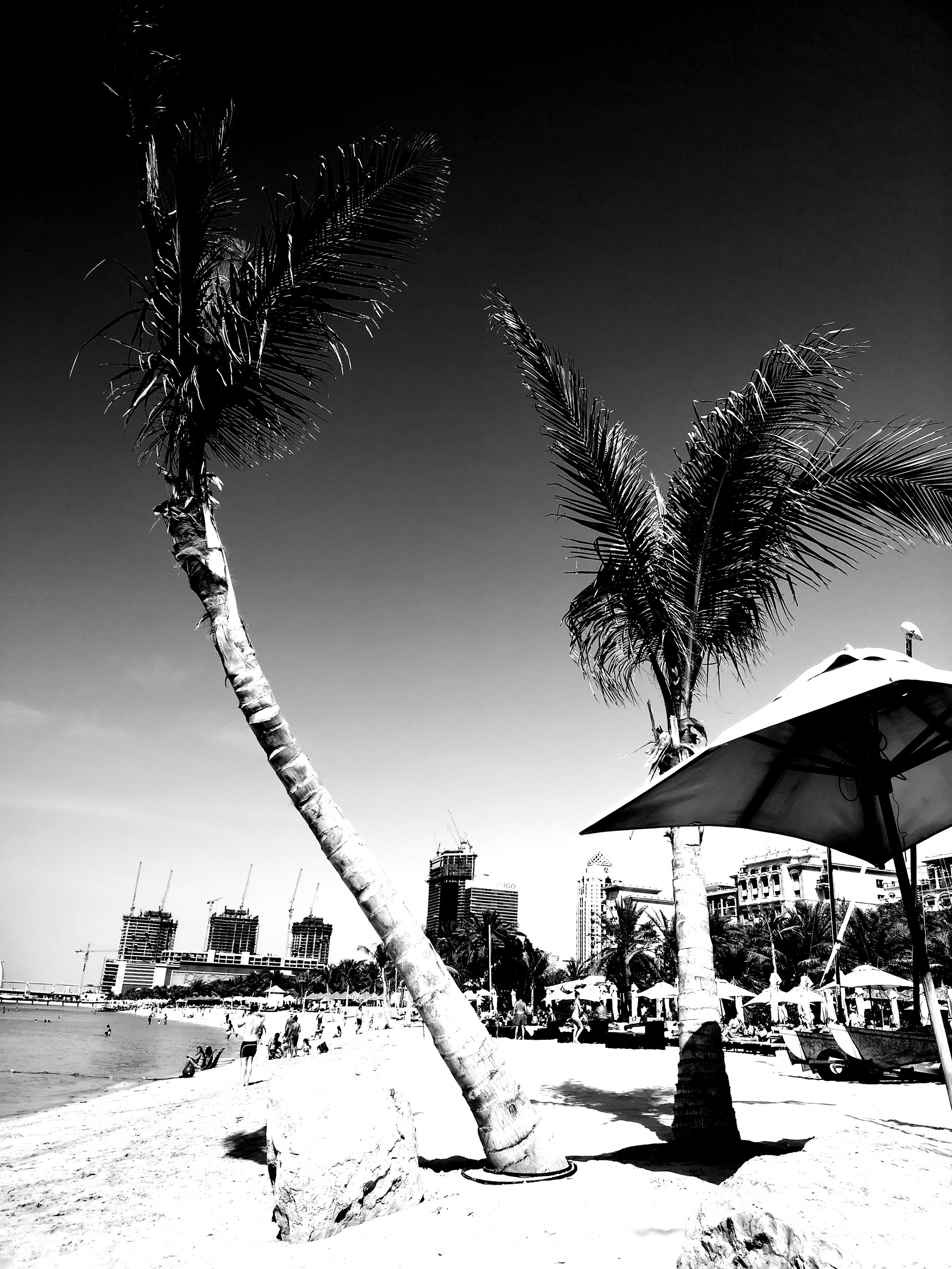 Impact Photo Collecton. Professional Artist, teacher of art, Artistic Photographer In Dubai (U