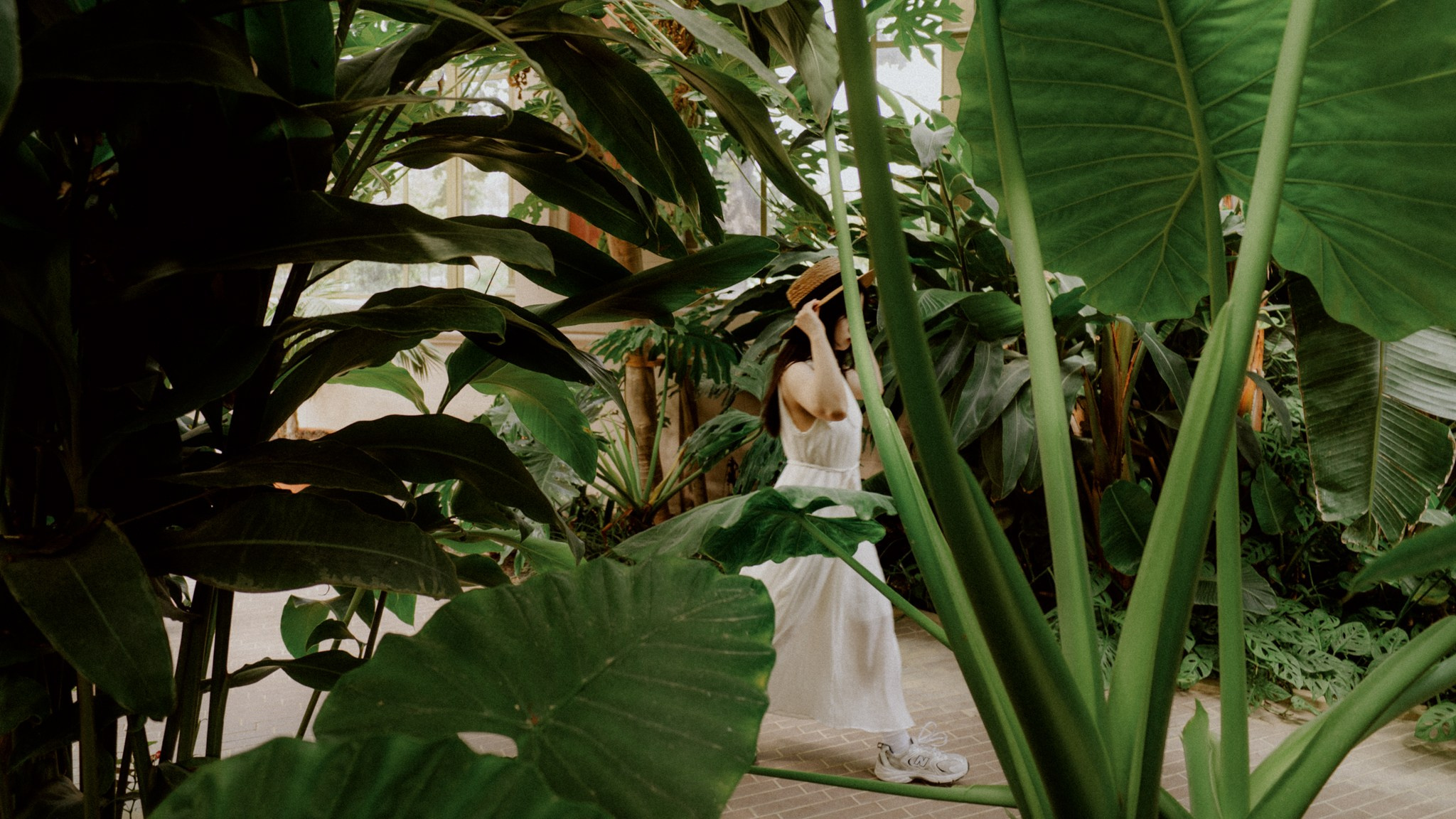 Galeria. Creador de contenido visual en Barcelona | Dima Kit