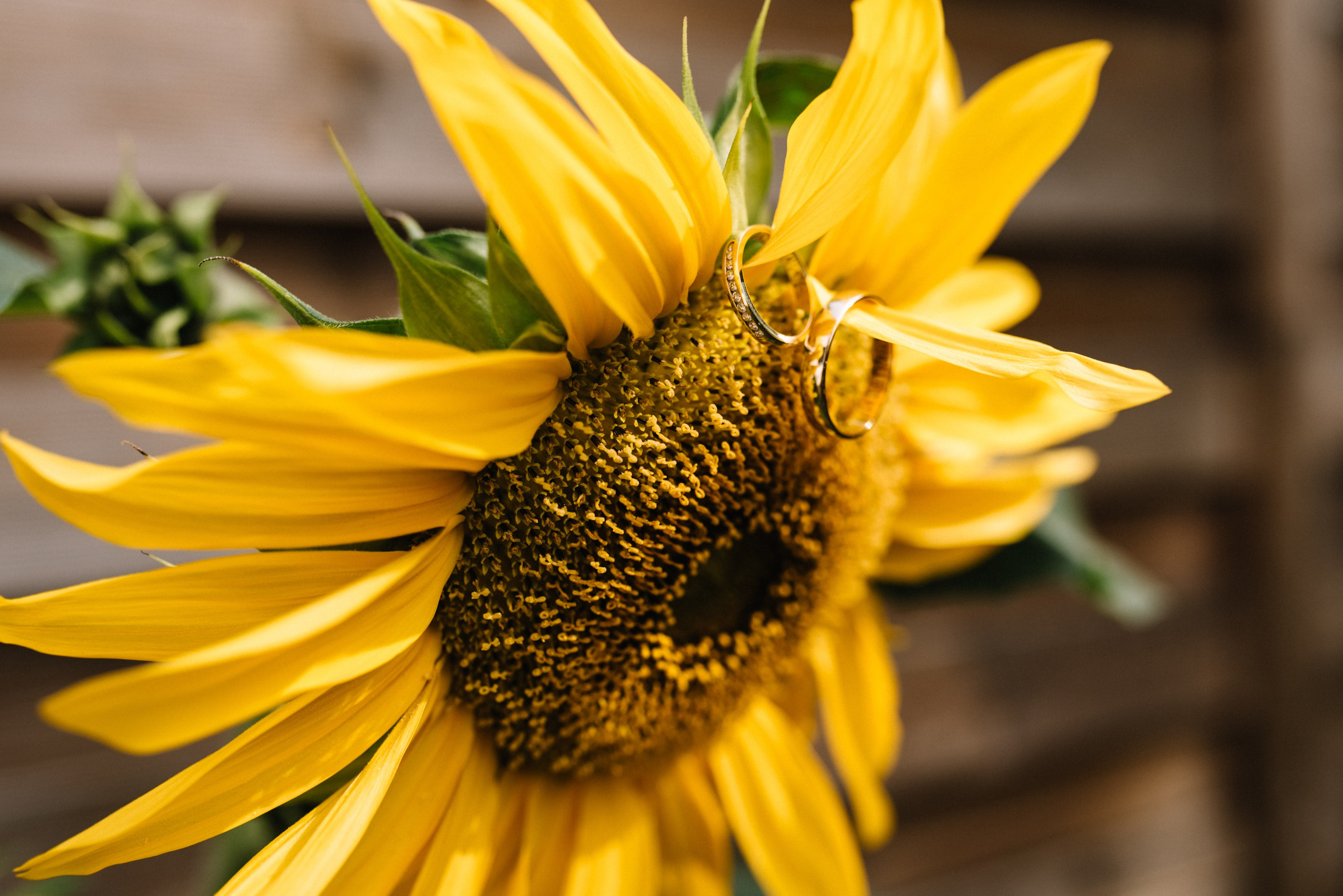 Dzień ślubny Kasia & Marcin. Eugene Save – Fotograf Ślubny i Rodzinny | Warszawa i Cała Polska