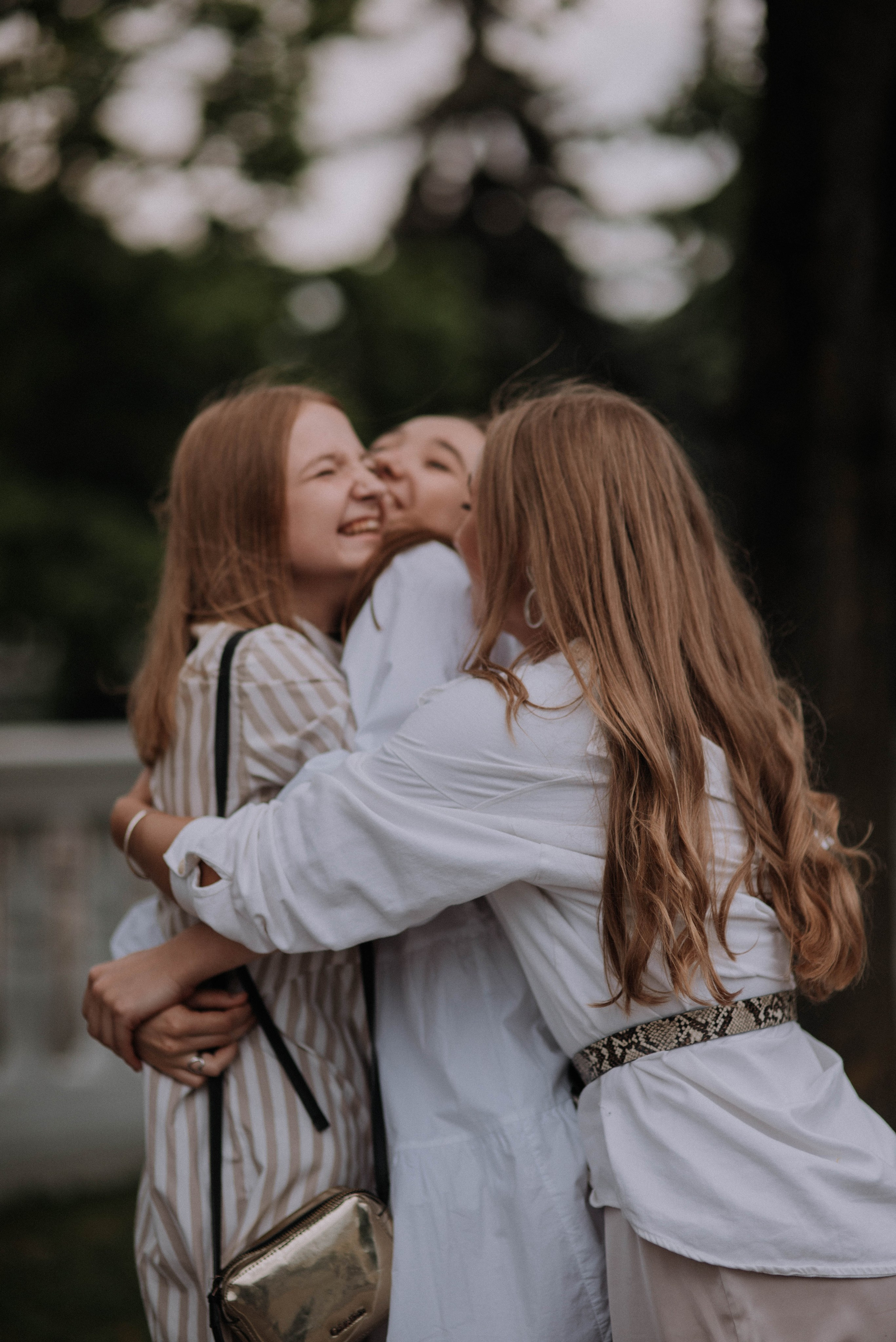 3 + 1 = The Family. Home page