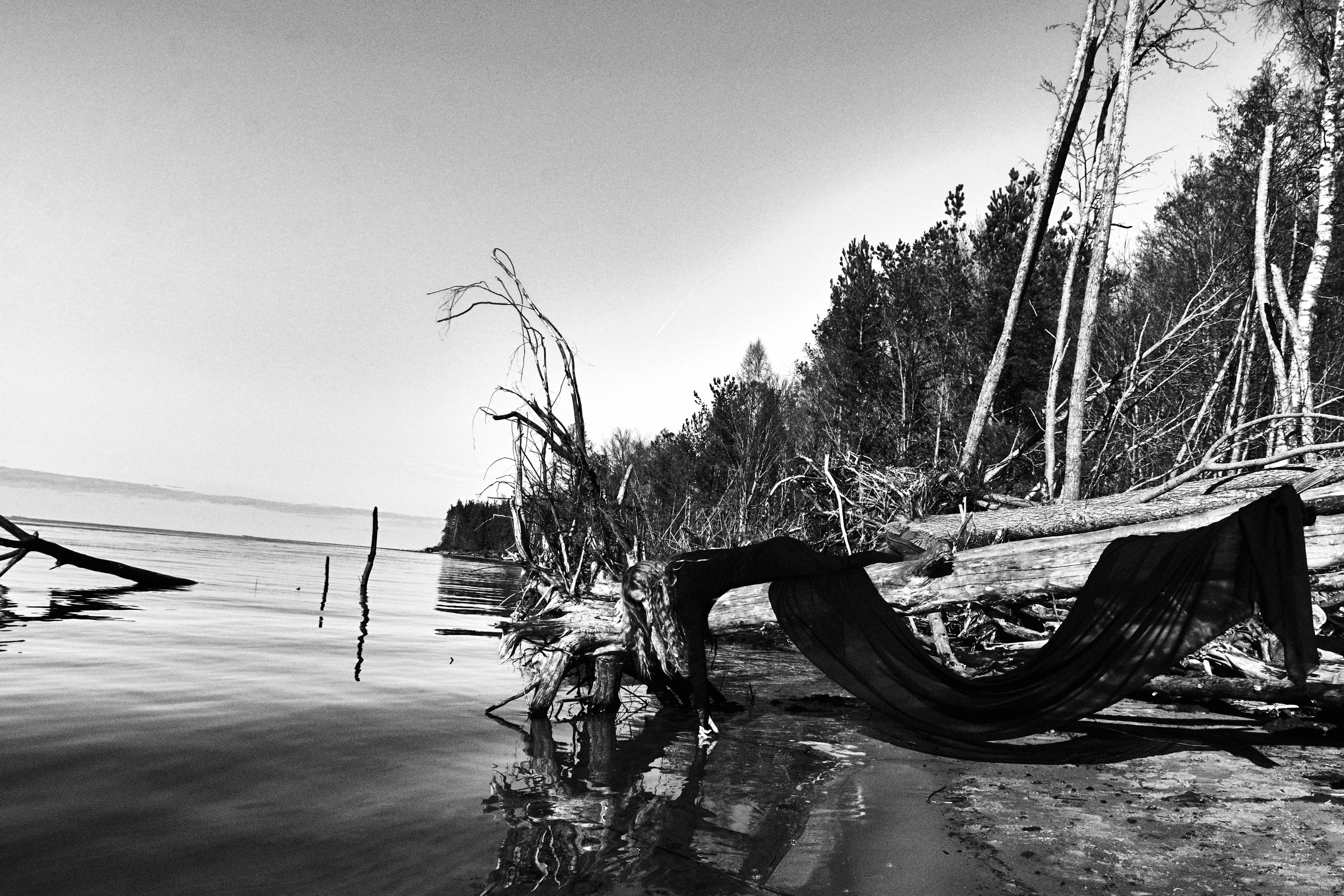 DARJA. Kristina Chimbaraite — Conceptual Portrait Photographer in Europe