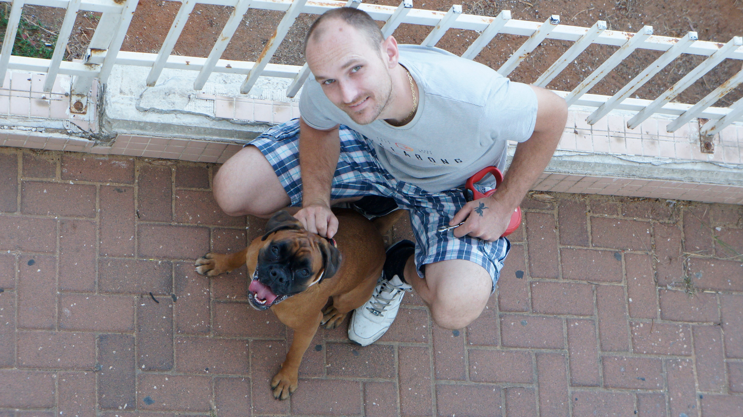 My ״Star״ Boxer Dog