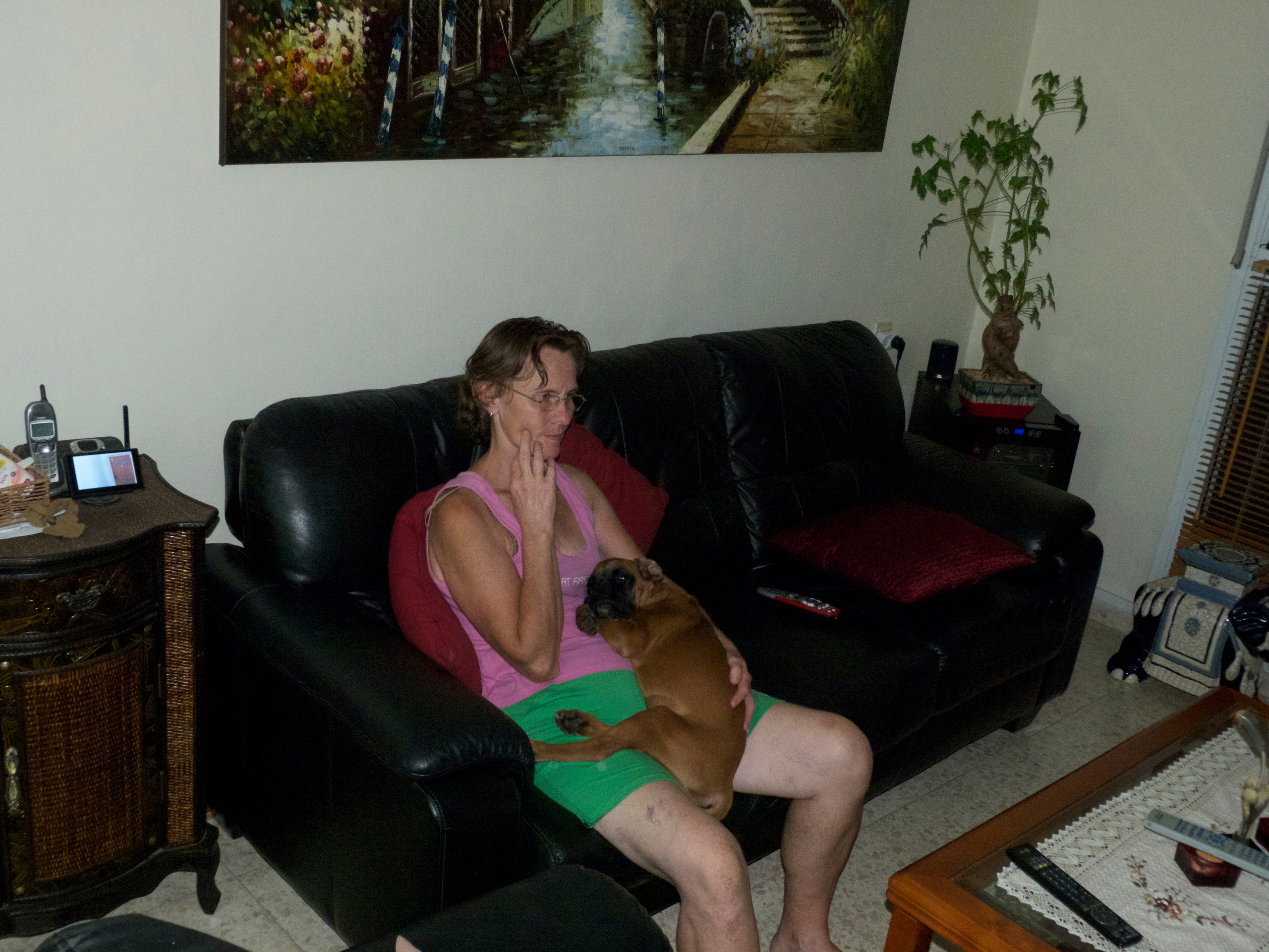 My ״Star״ Boxer Dog