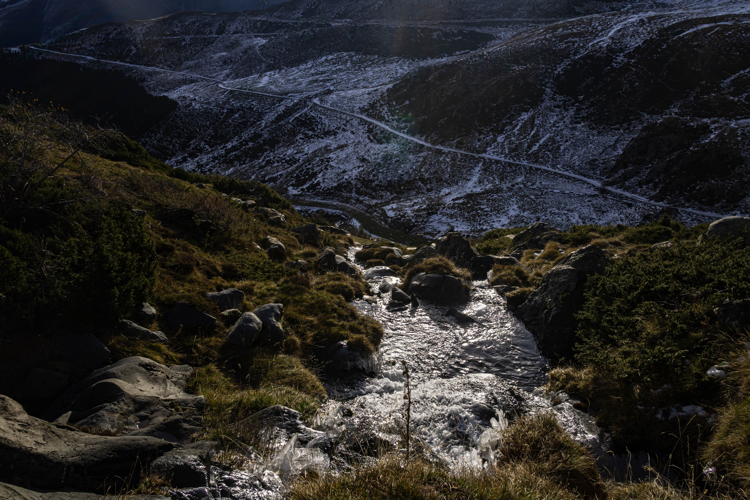 Filia. Alba del Norte Studio