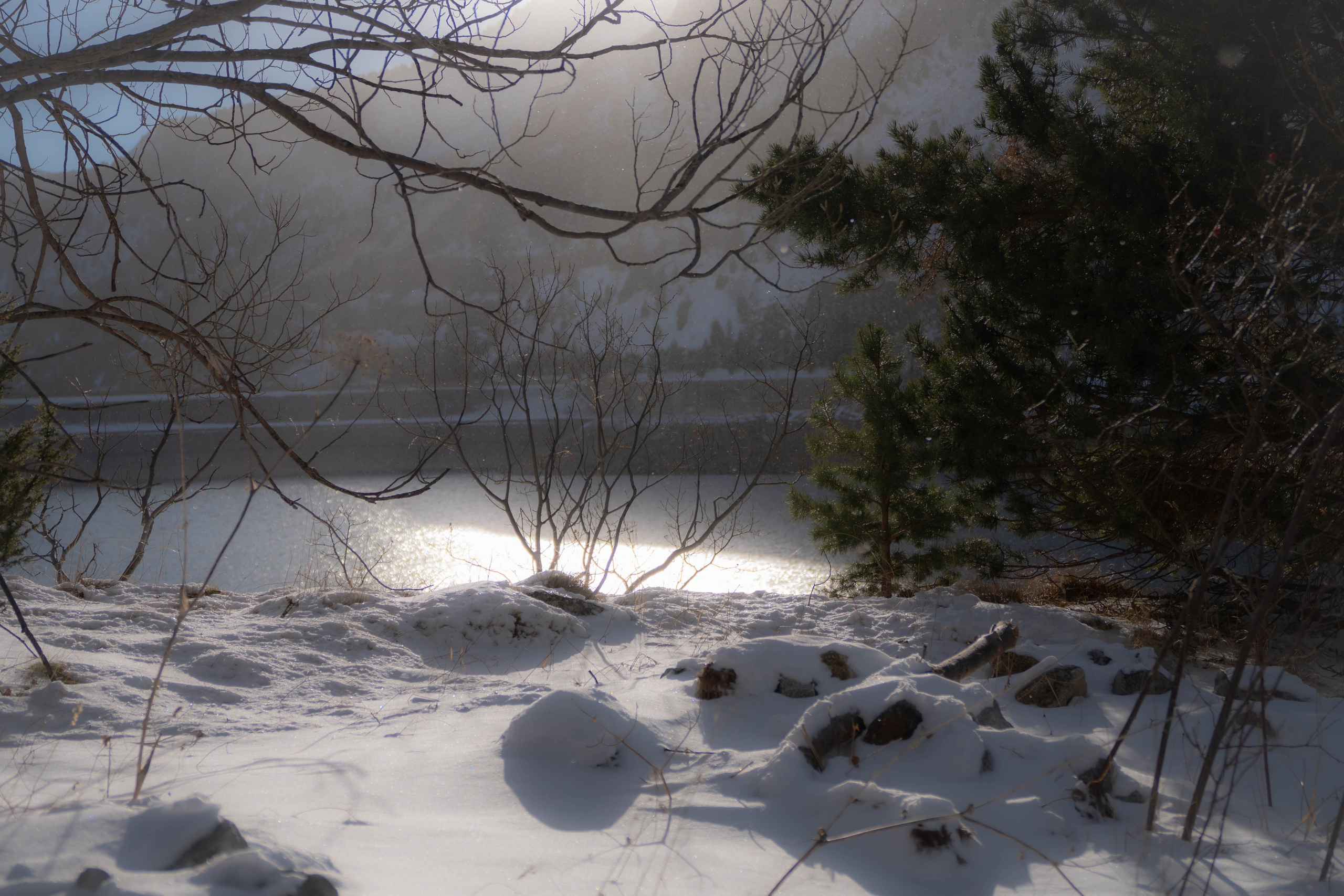 Vall Fosca, Invierno 2023. Alba del Norte Studio