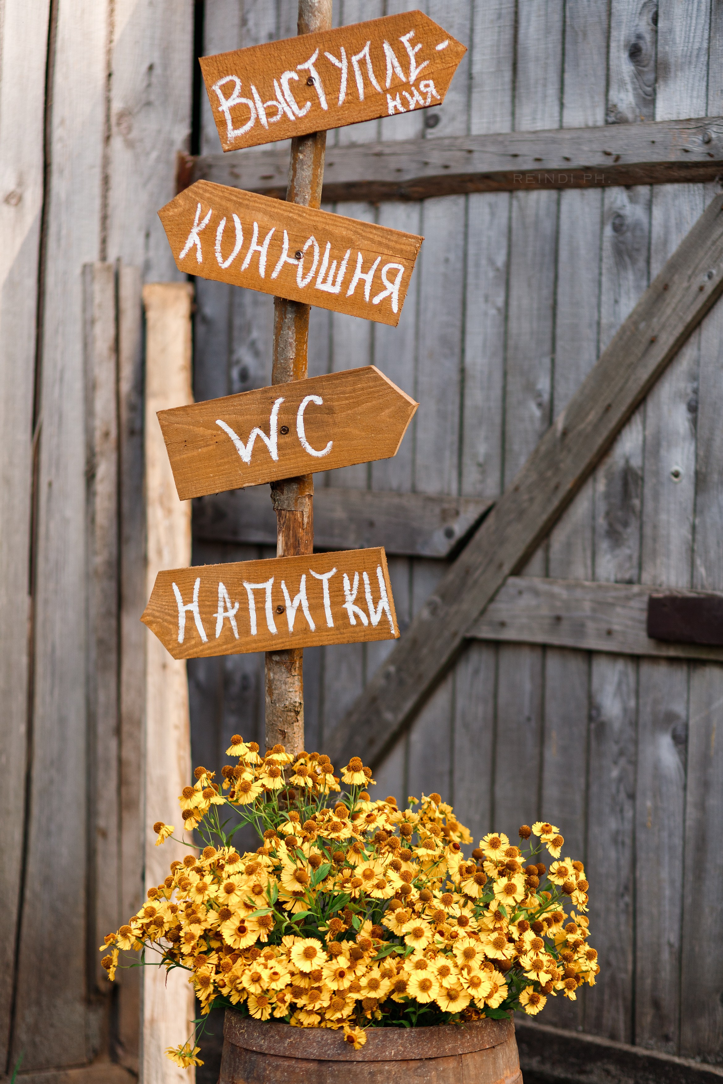 Horse show in the village. Kaja | fotograf we Wrocławiu | ludzie i psy