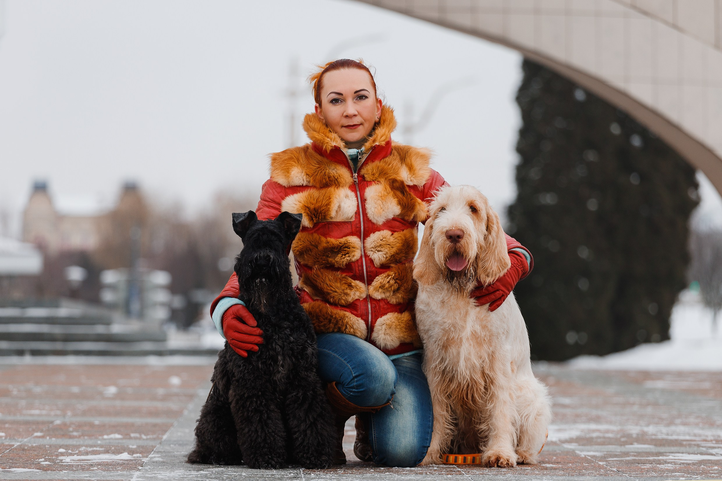 Kerry blue terrier & italian spinone. Kaja | fotograf we Wrocławiu | ludzie i psy