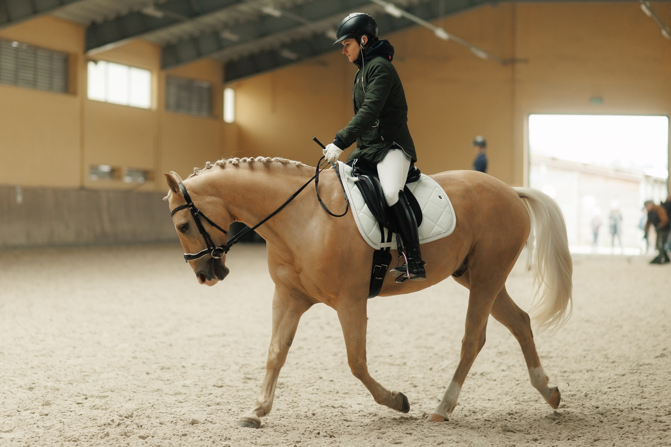 Fotografia koni Wrocław \ ujeżdżenie, Partynice. Kaja | fotograf we Wrocławiu | ludzie i psy