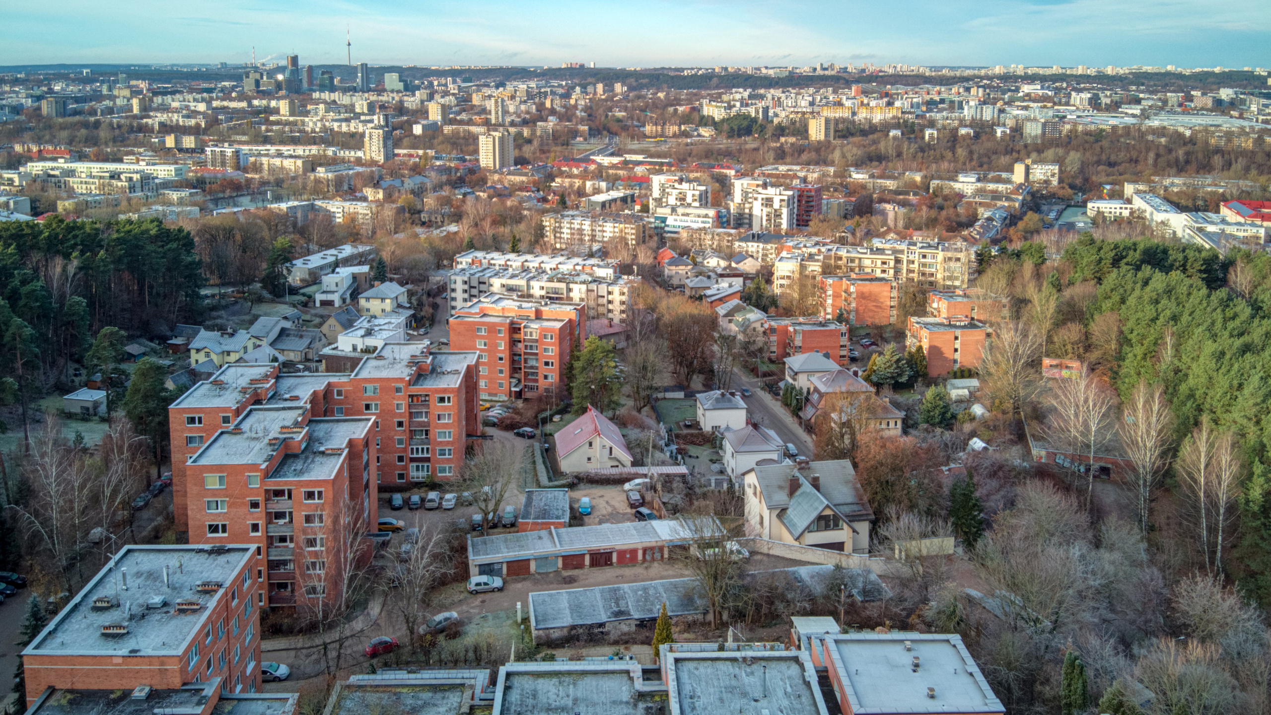 Dronas Antakalnis, Kanklių 10. Elina Sapiega fotografė Vilniuje